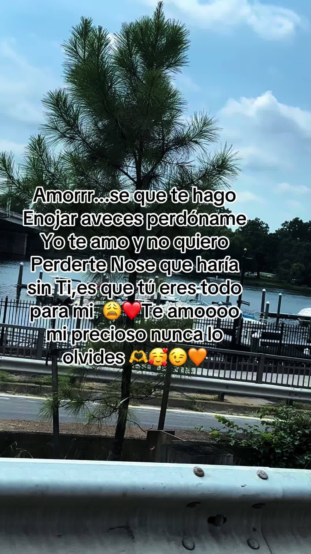 @🦋MELISSA.. A 🦋🦋🦋