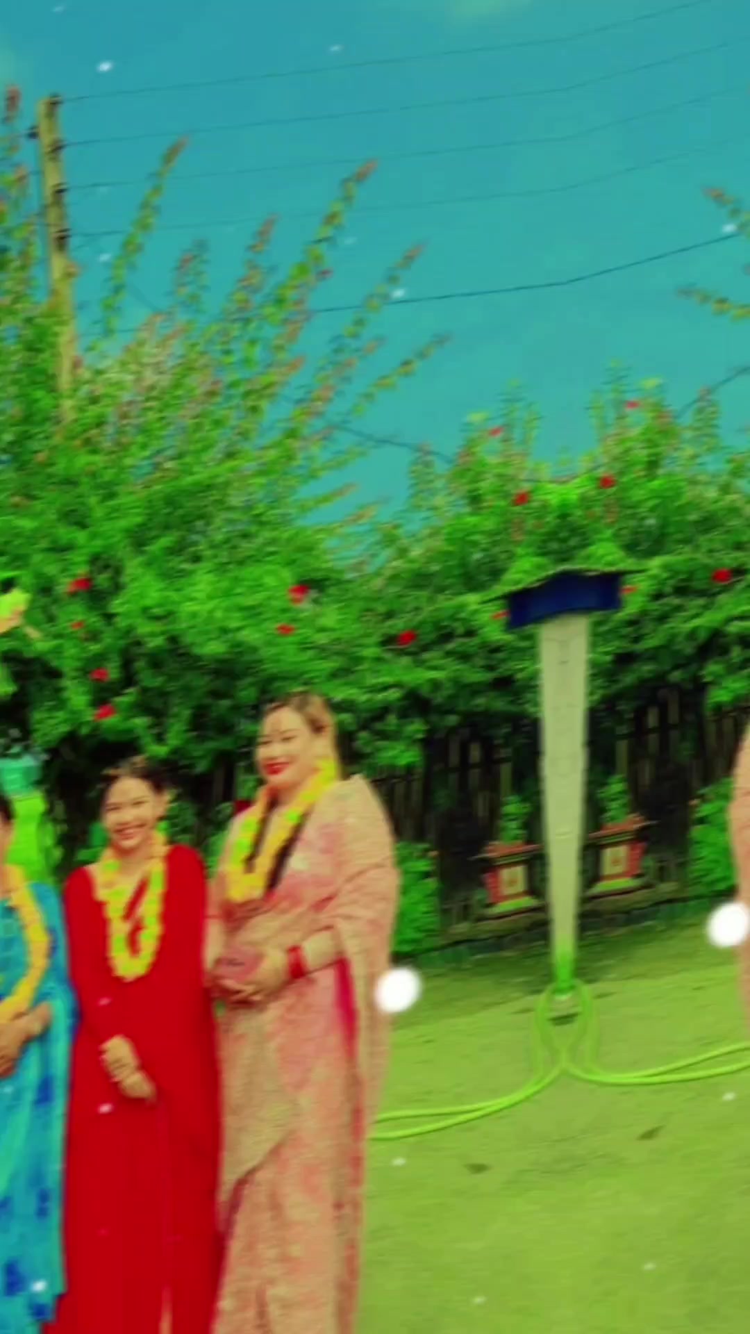 @bindu