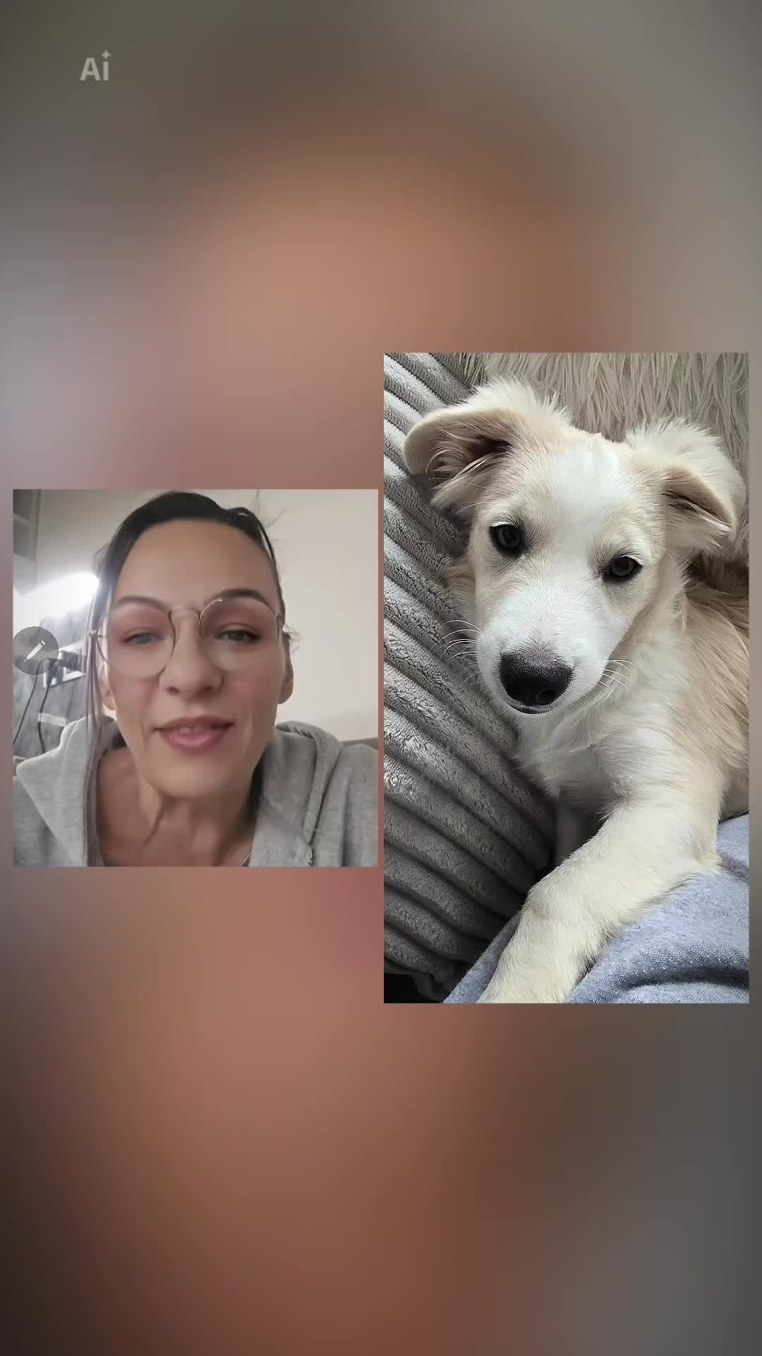 @🎀Angi🎀