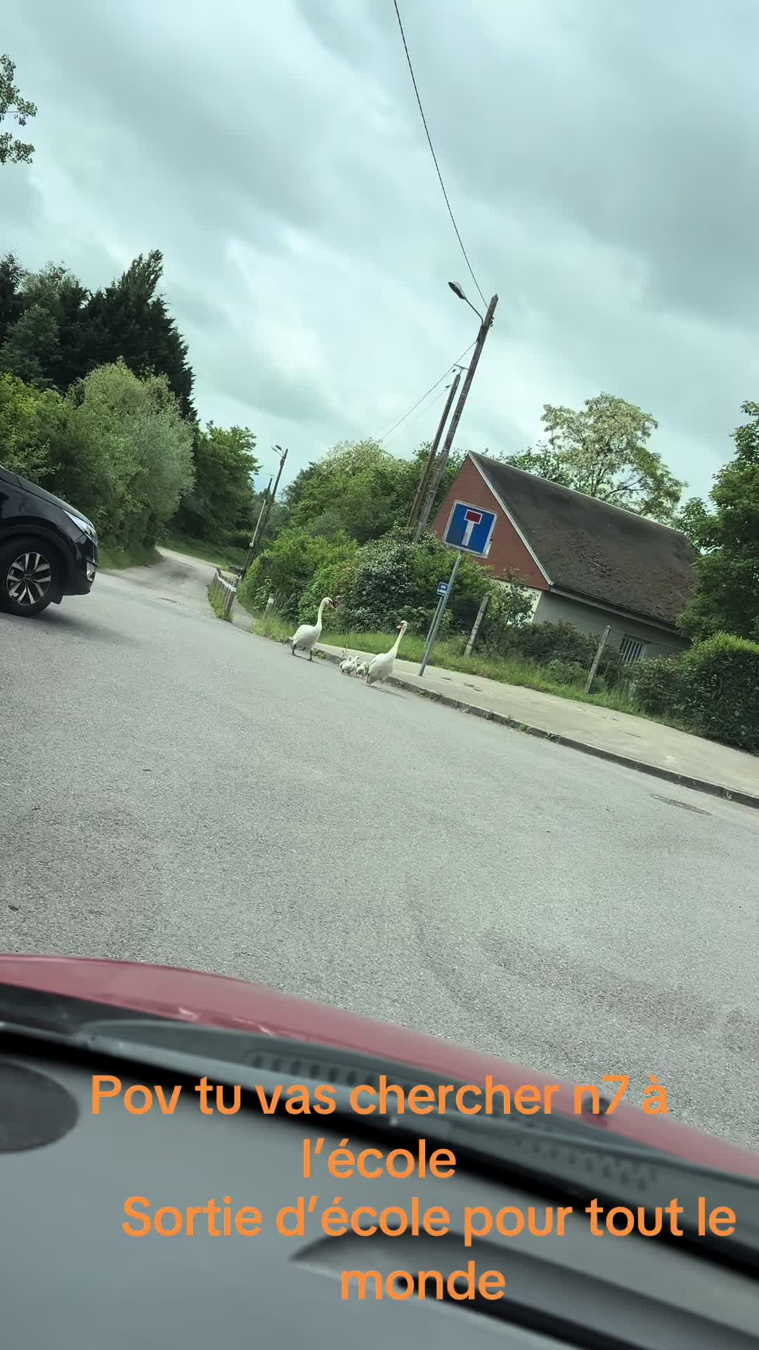 @Tempérance.so🇷🇪