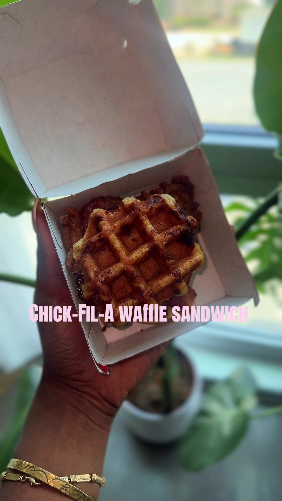 @Sarah | CLT Content Creator