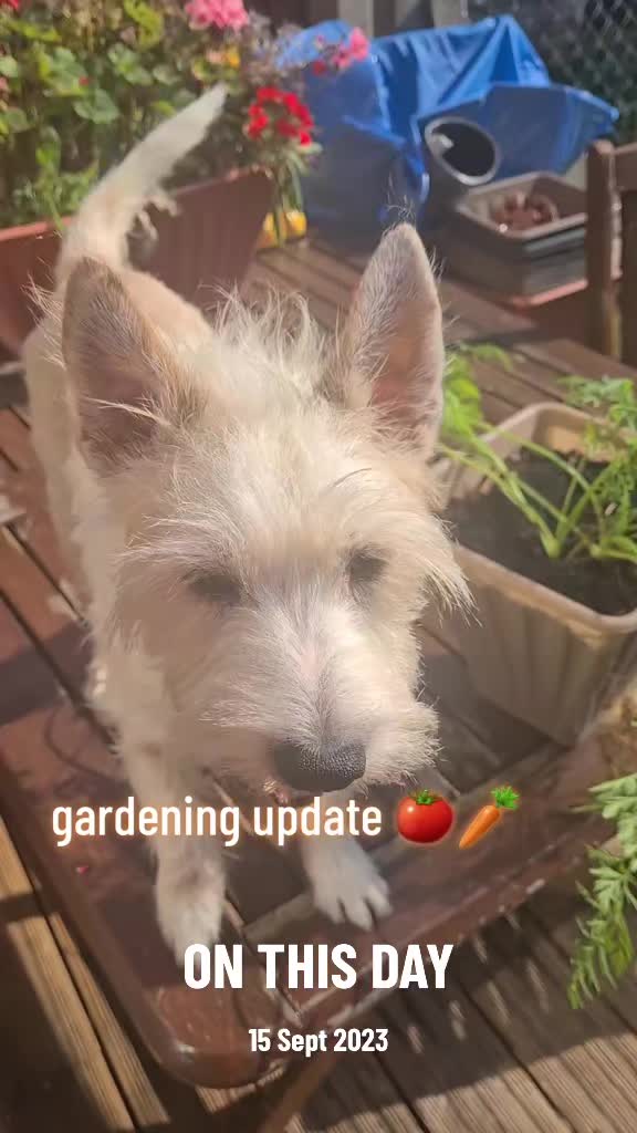 @claire🌈BellaBertErnie💙T&D