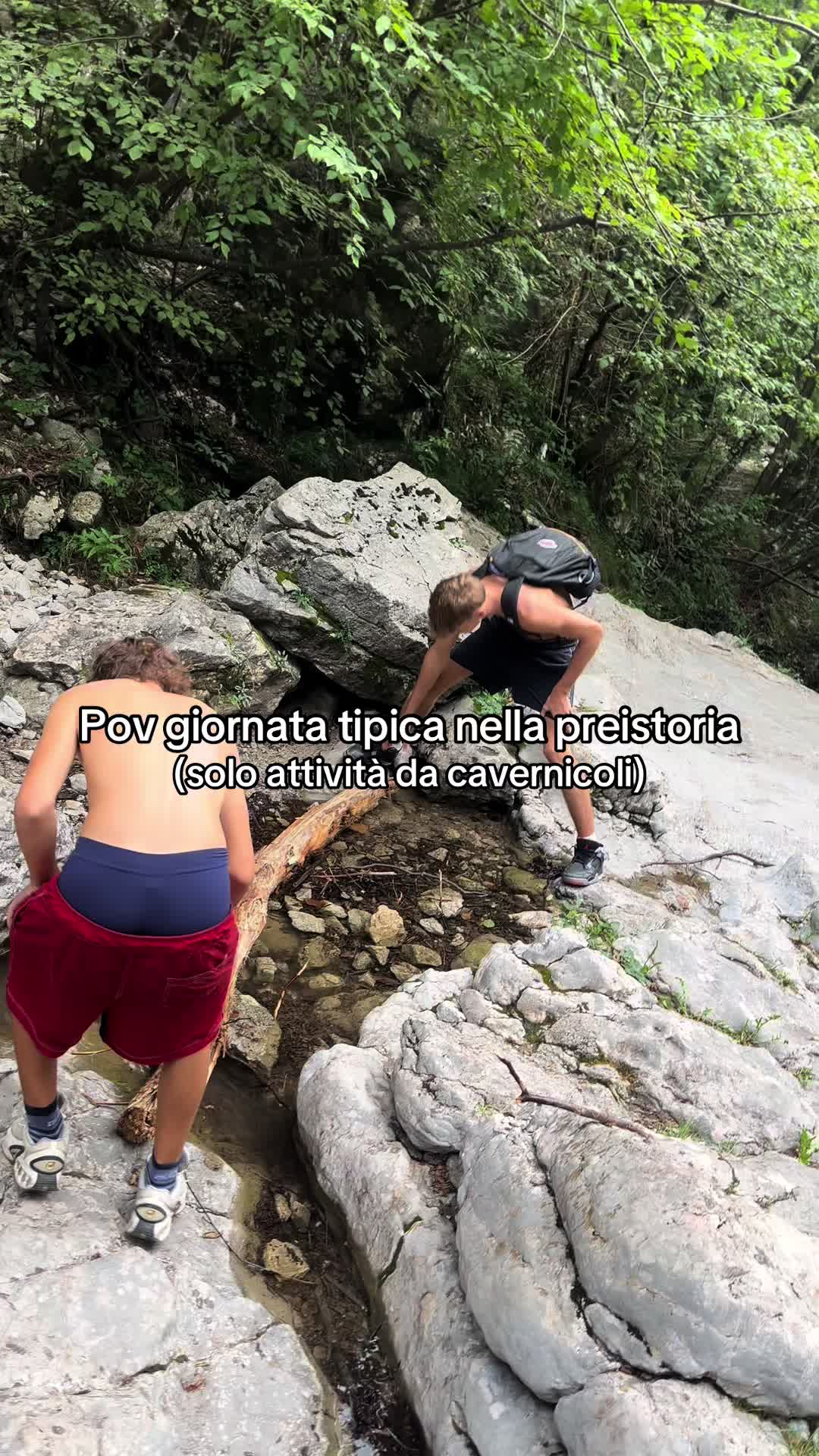@gattinocattolico