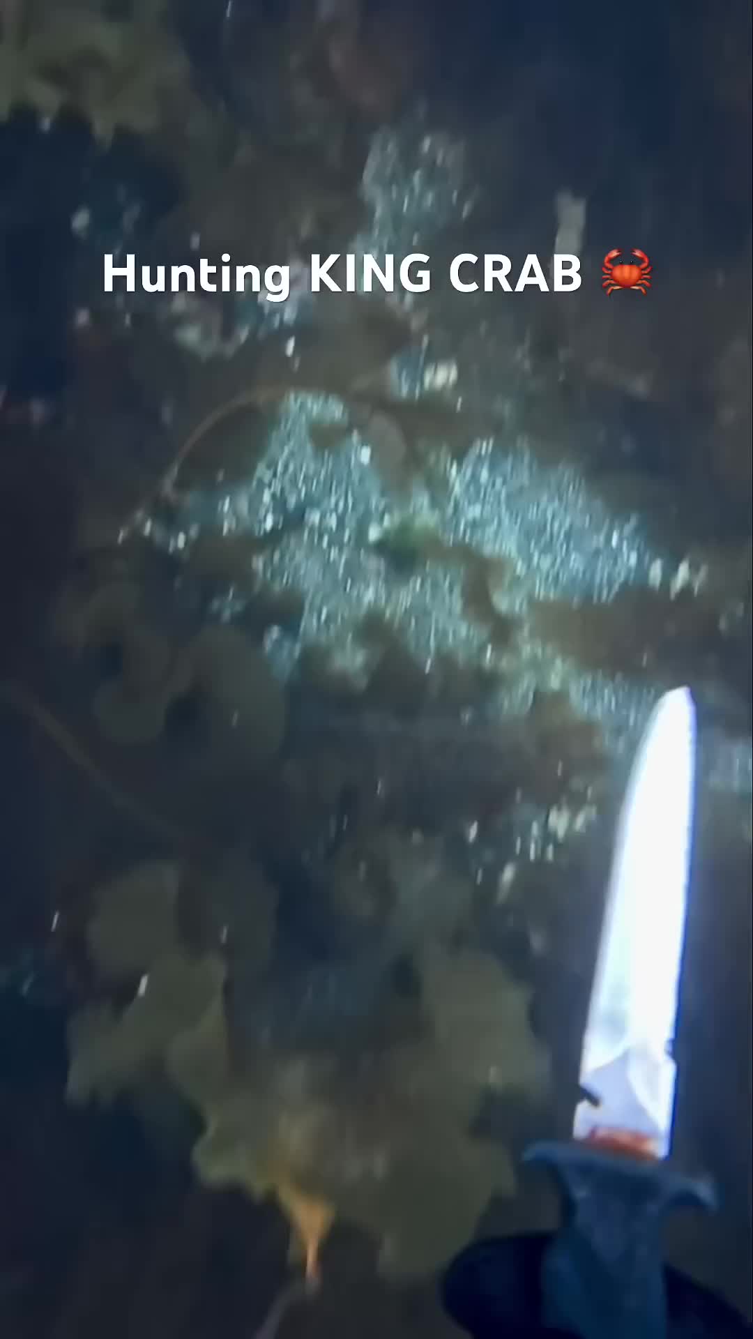 @fishy7780