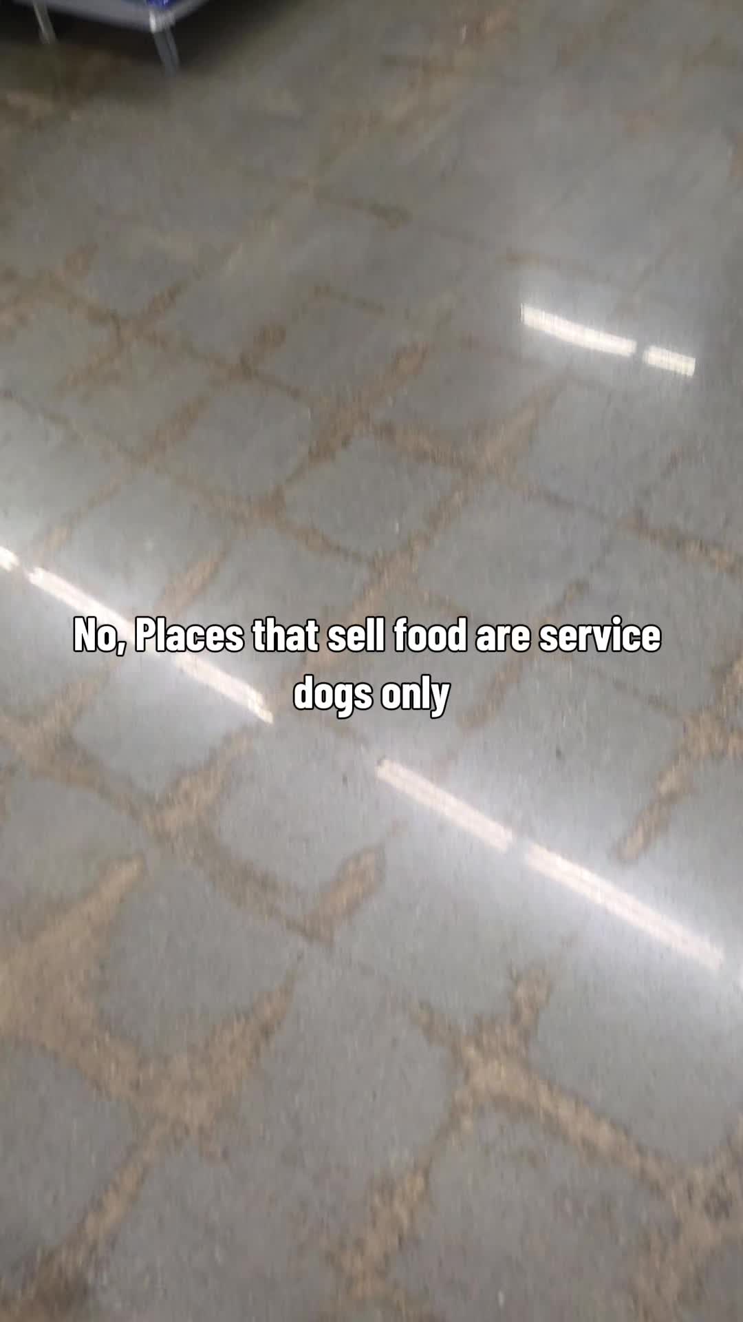 @Nala the Service aussie
