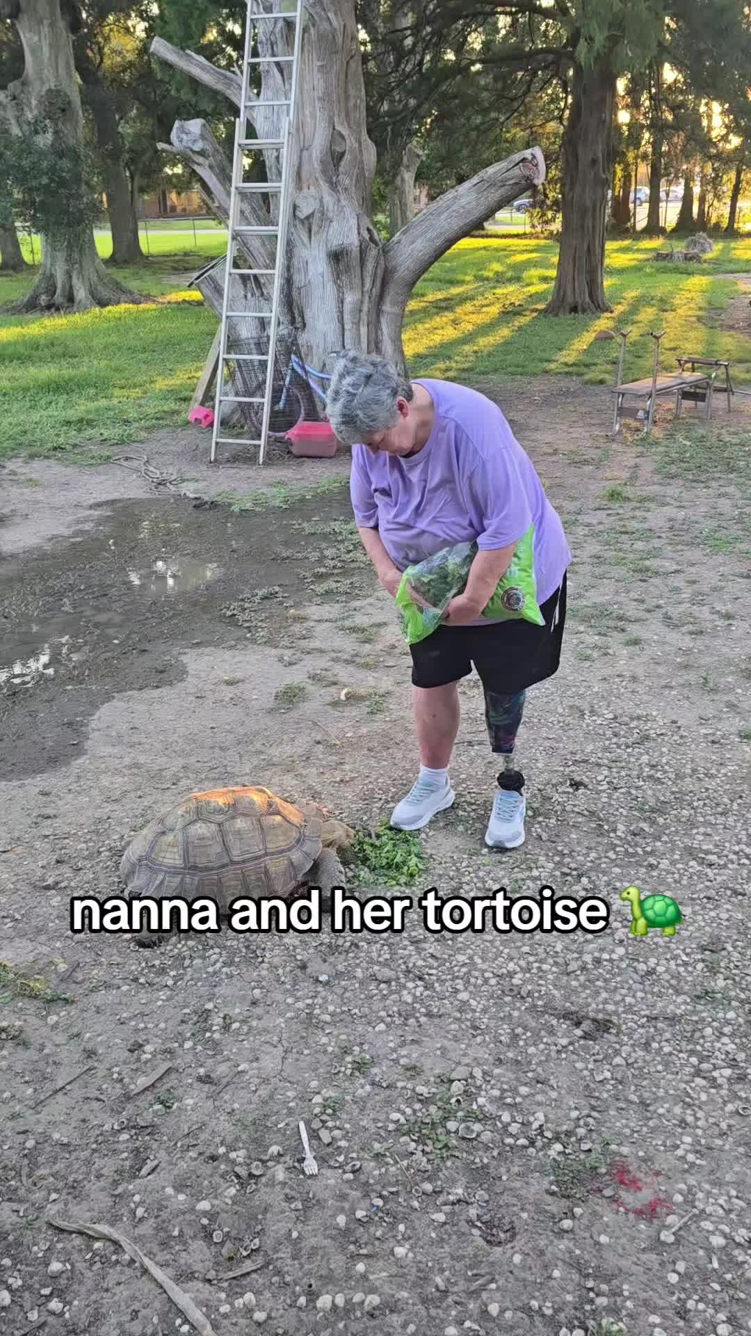 @Kayla🐊