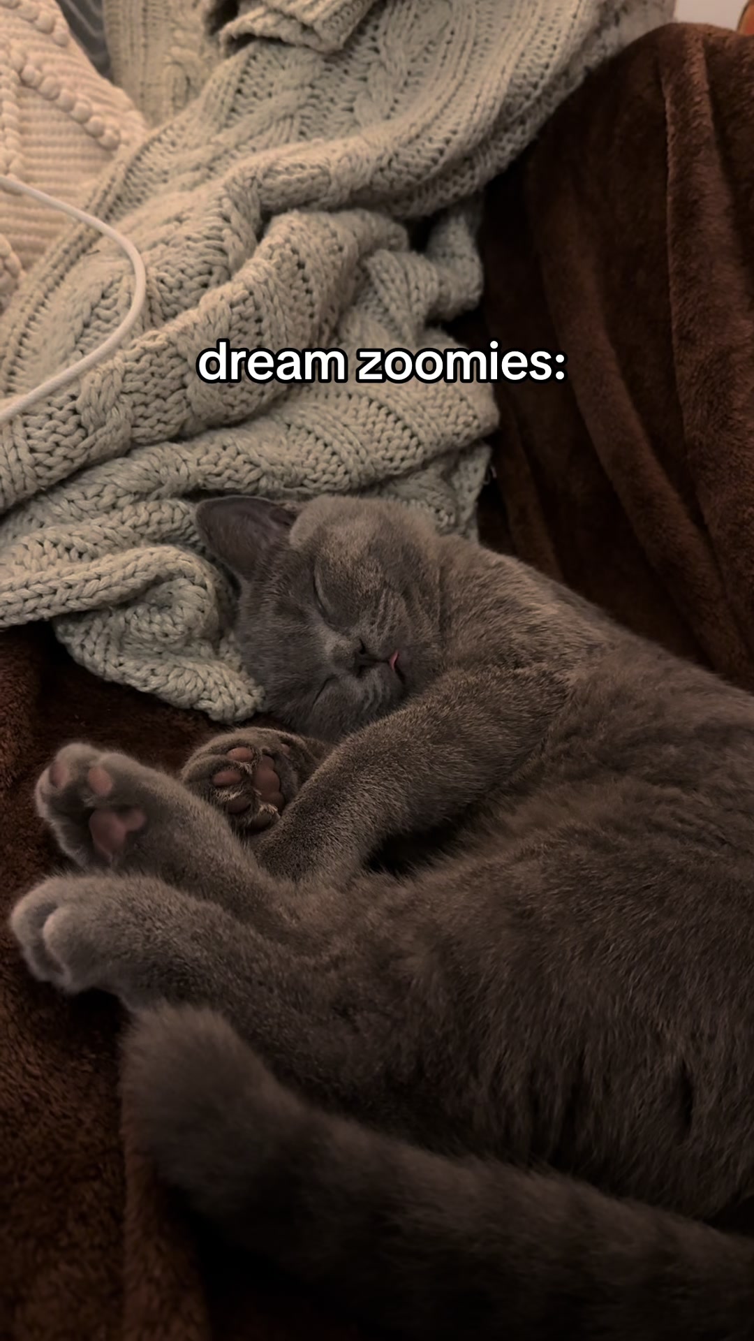 @Ozzy Boi