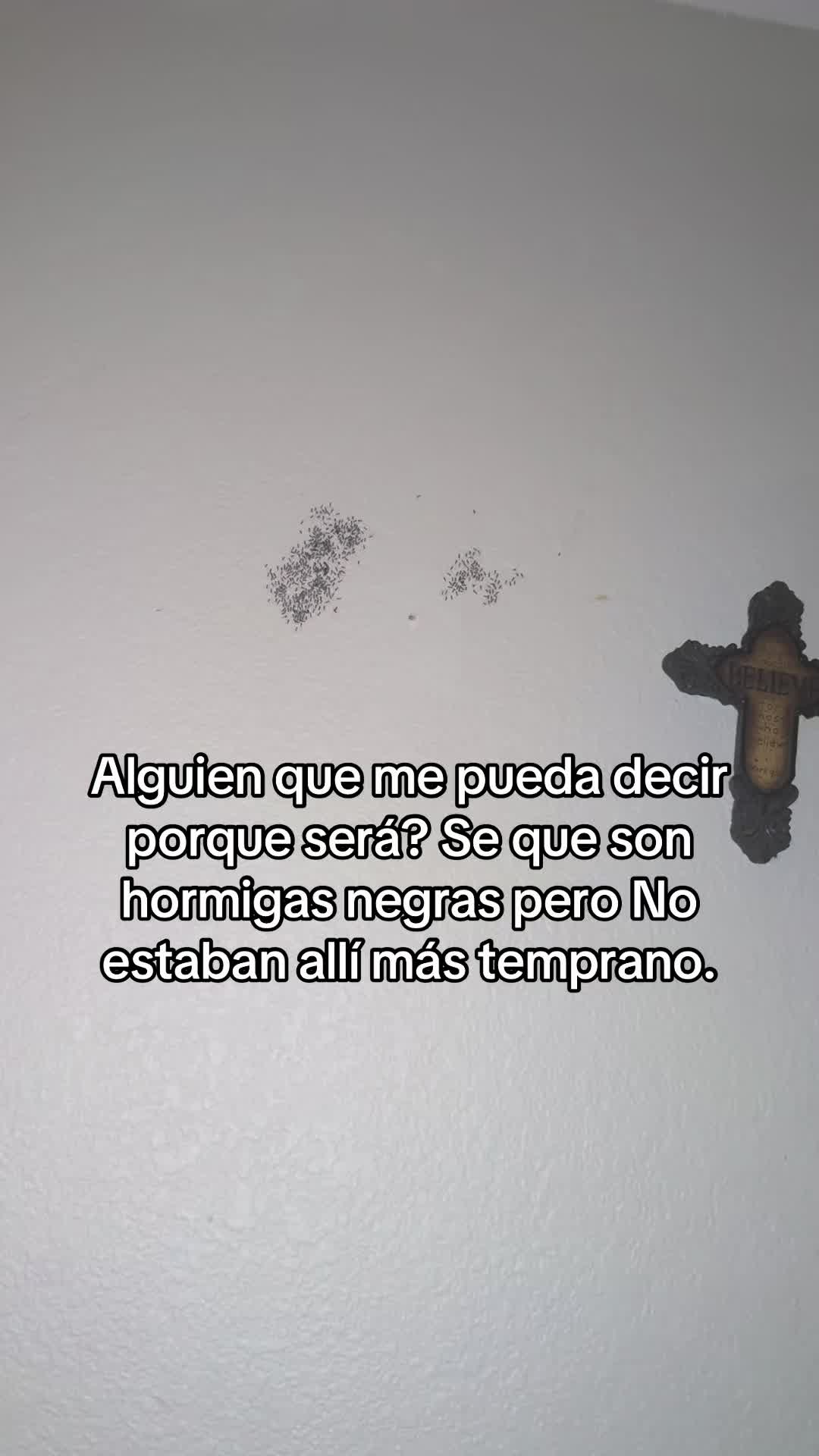@Alma Bustamante