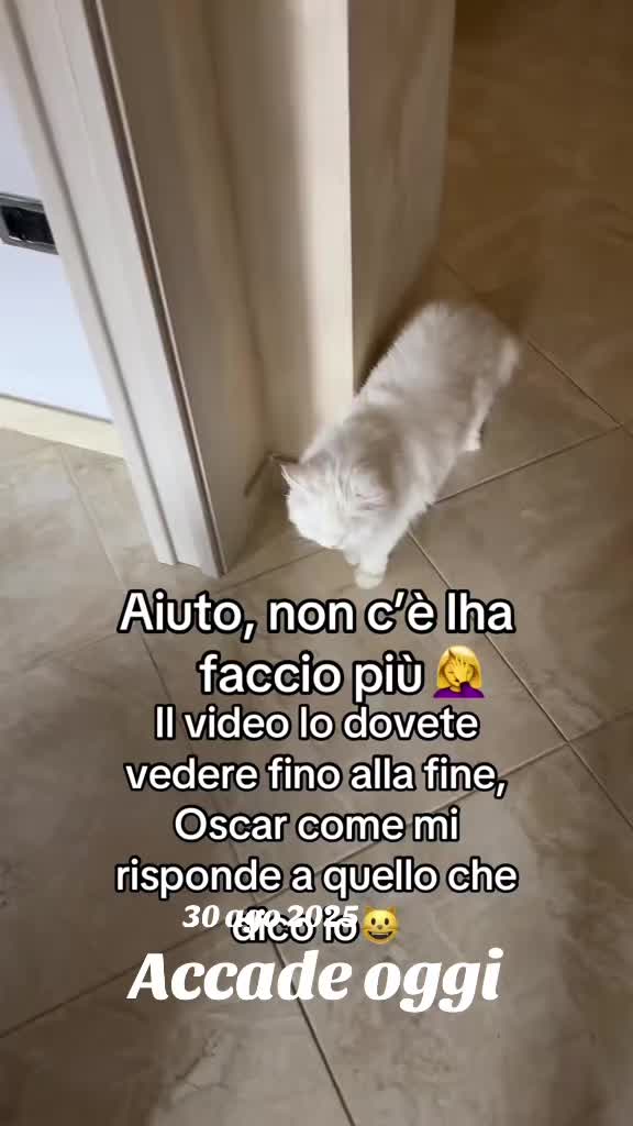 @♥️🎼🌹Rossella 🦂pazza 🌹🎼❤️