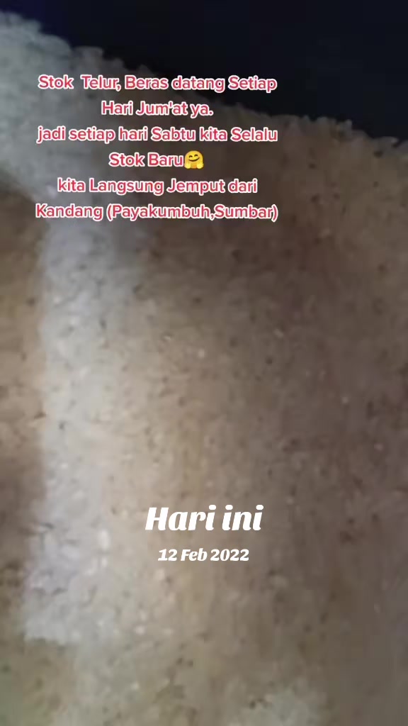 @Emil_Novita1511