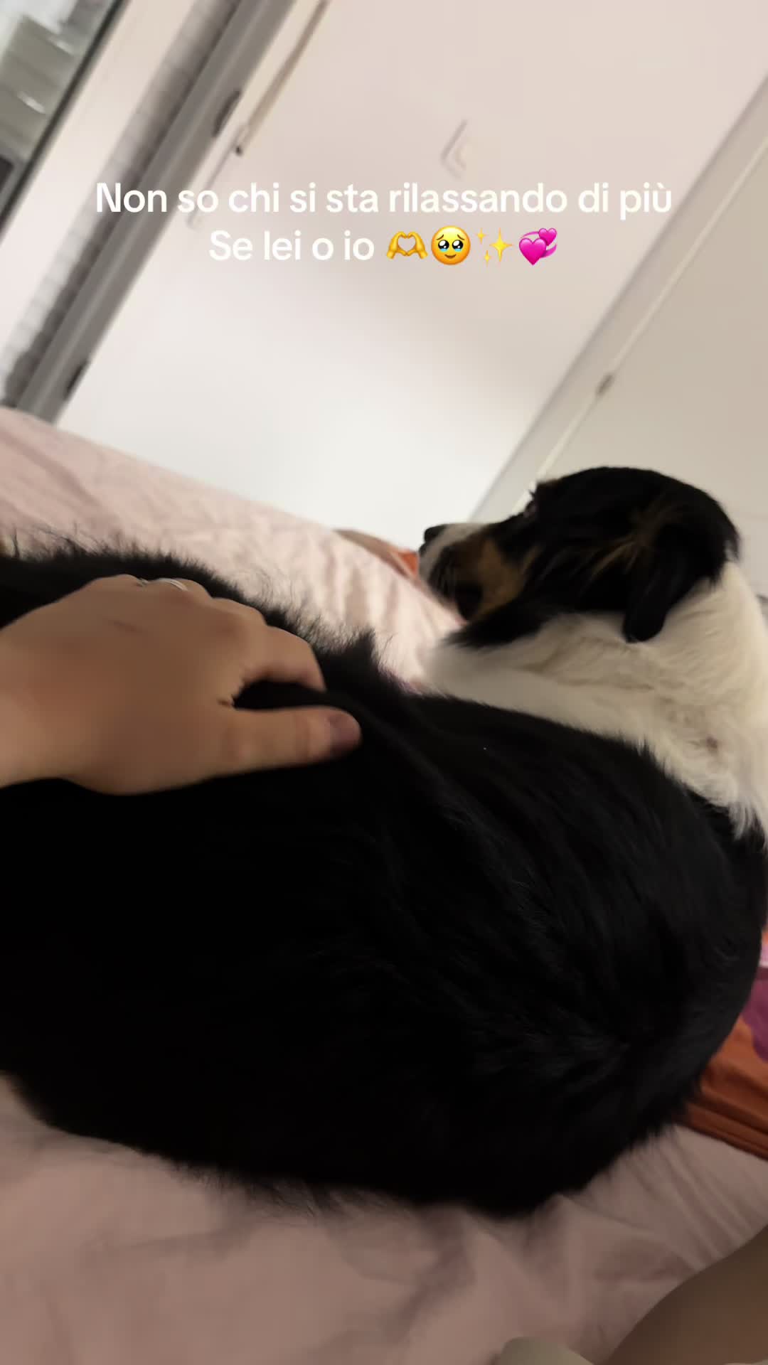@Luna&Molly_mylife❤️