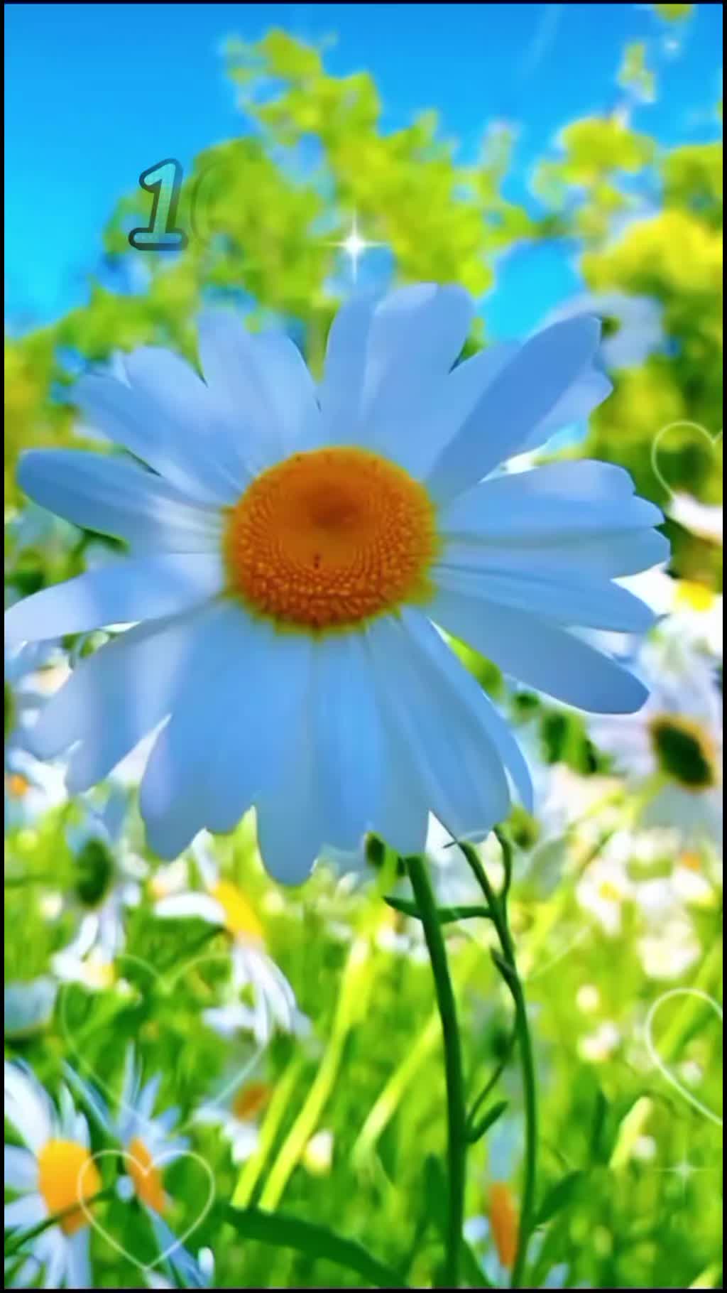 @user1675550211969
