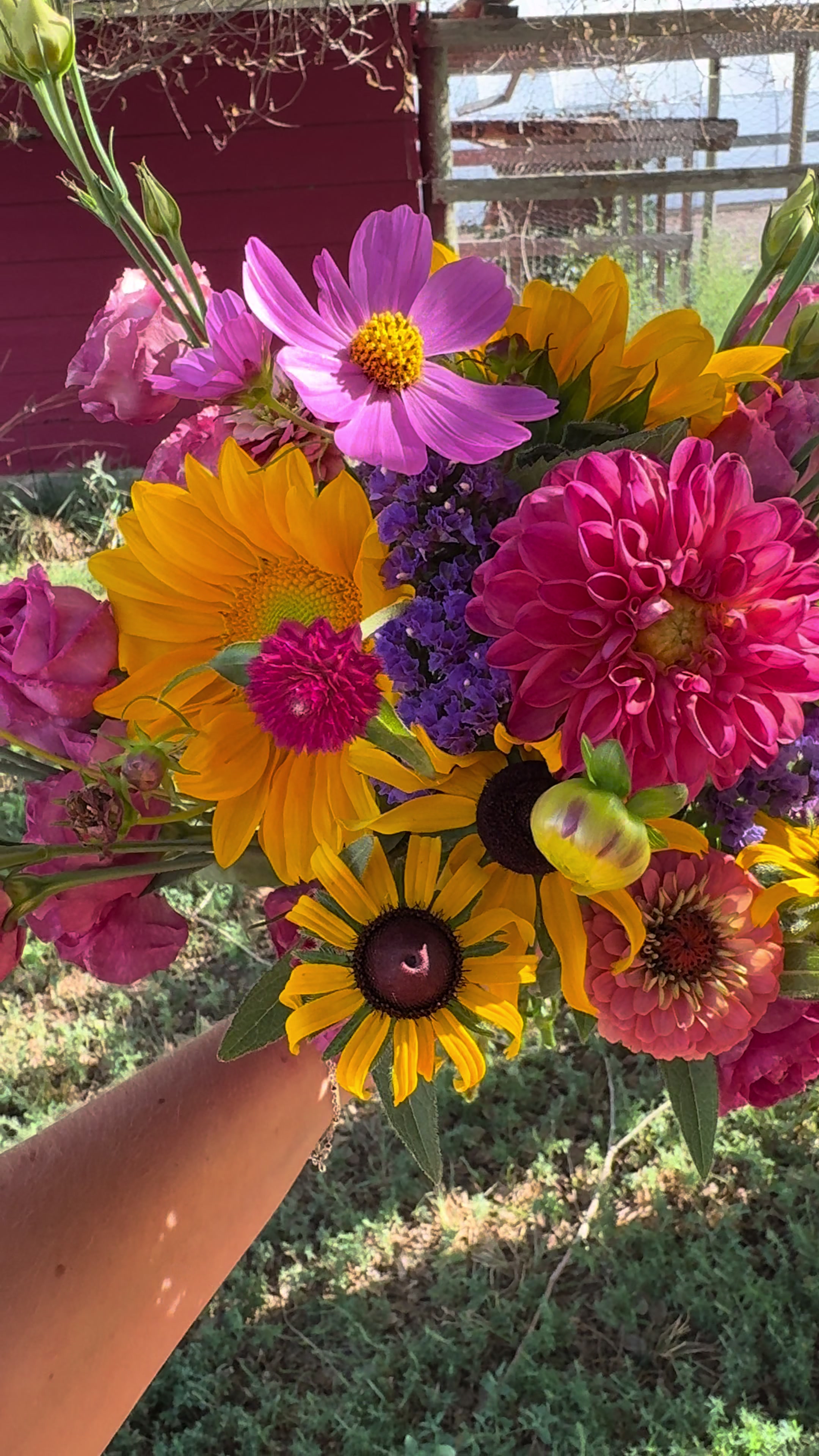 @Sandy Acres Farm