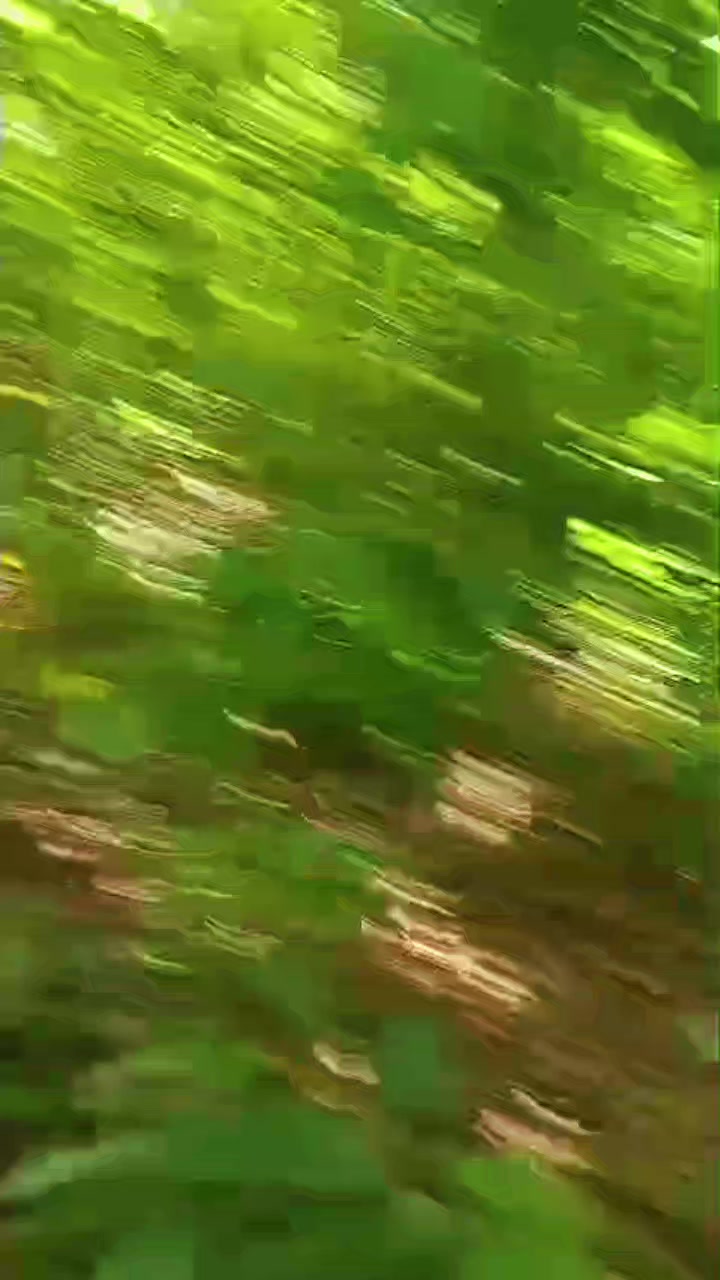@mj