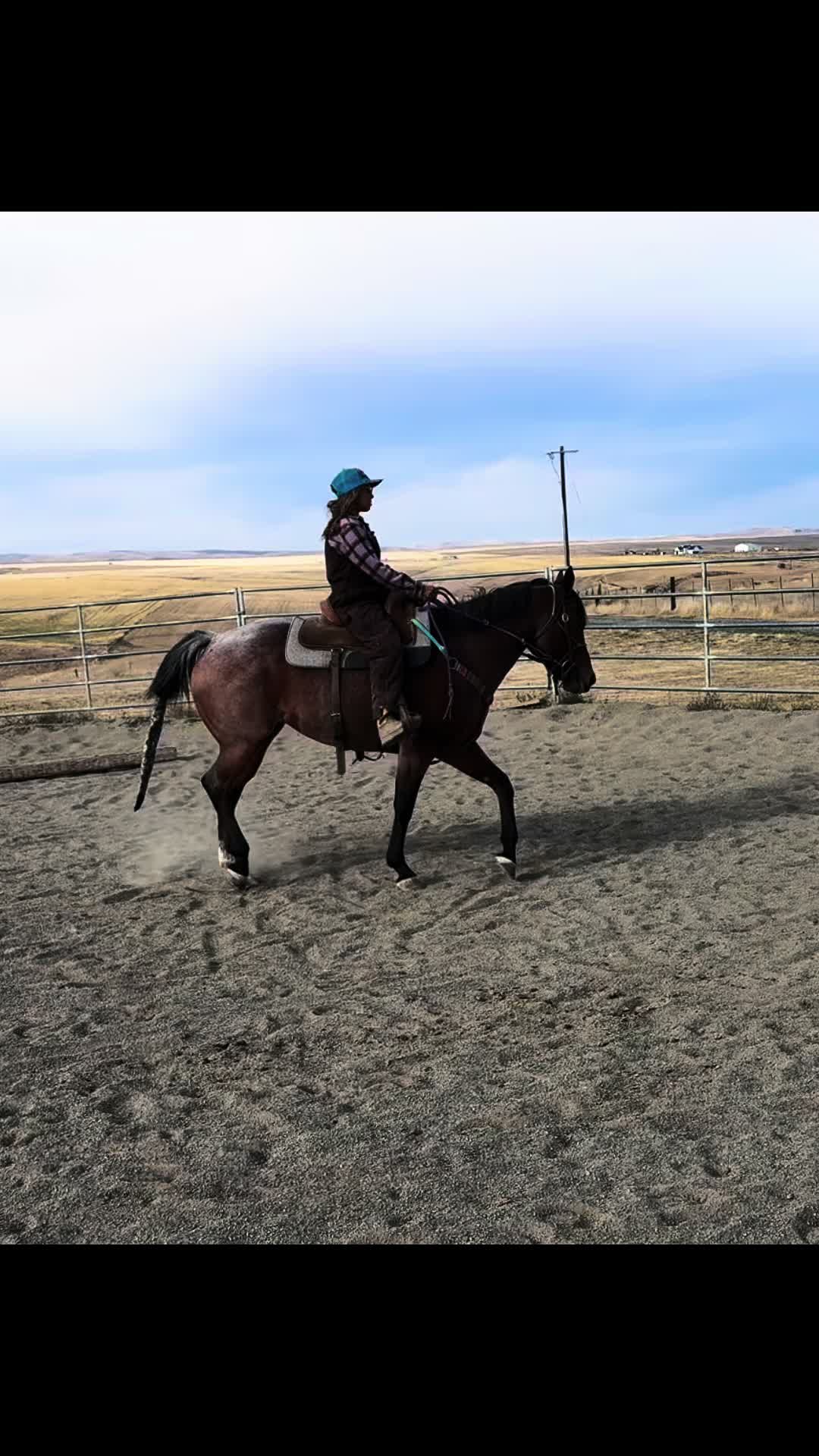 @Cowgirl Tuff Colt Training ❤️