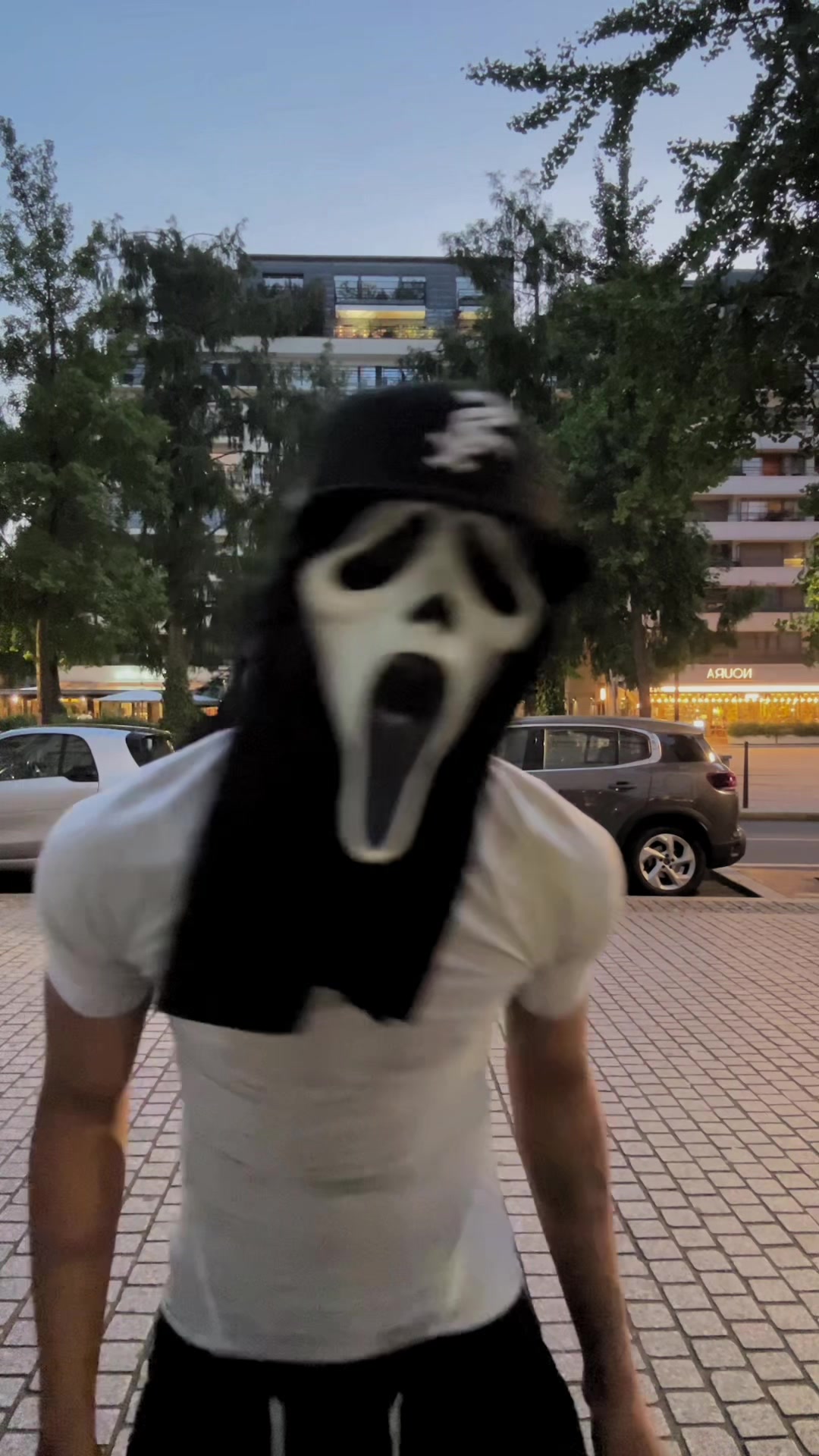 @👻 GhostVert 🧟♂️