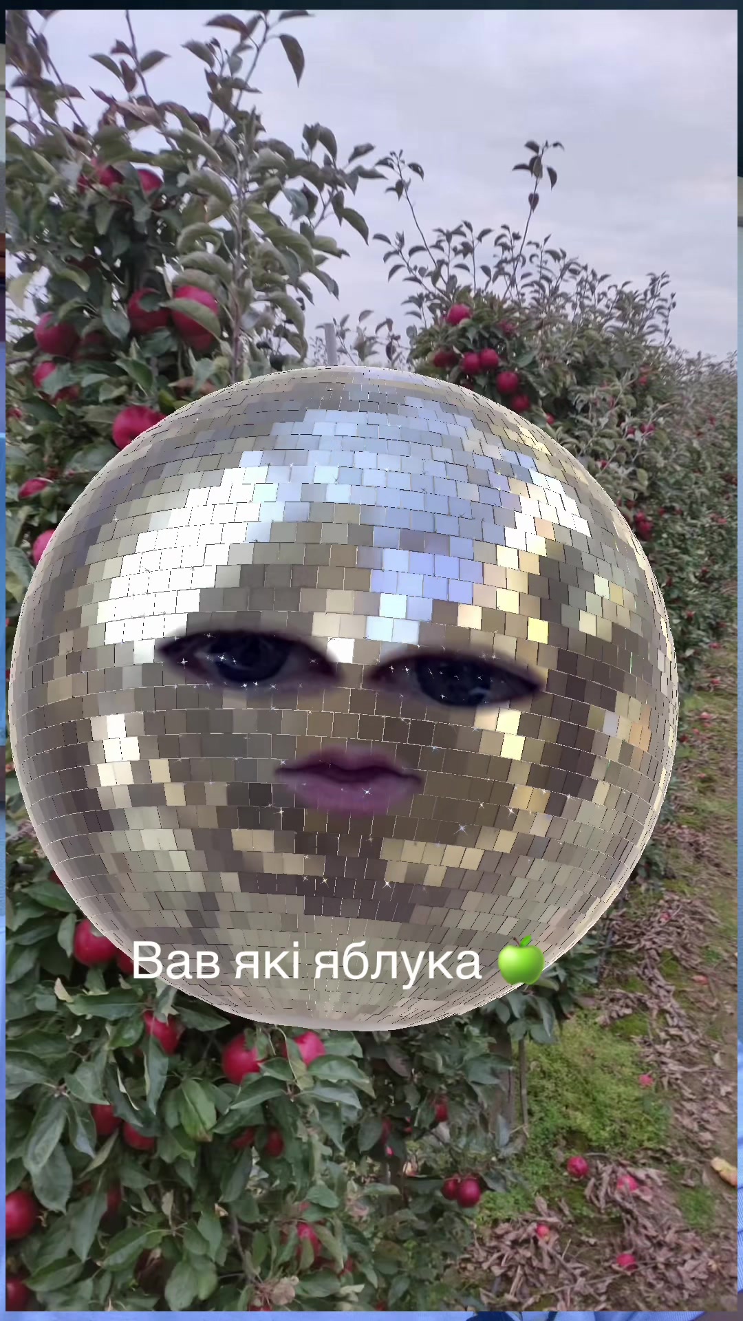 @Світлана