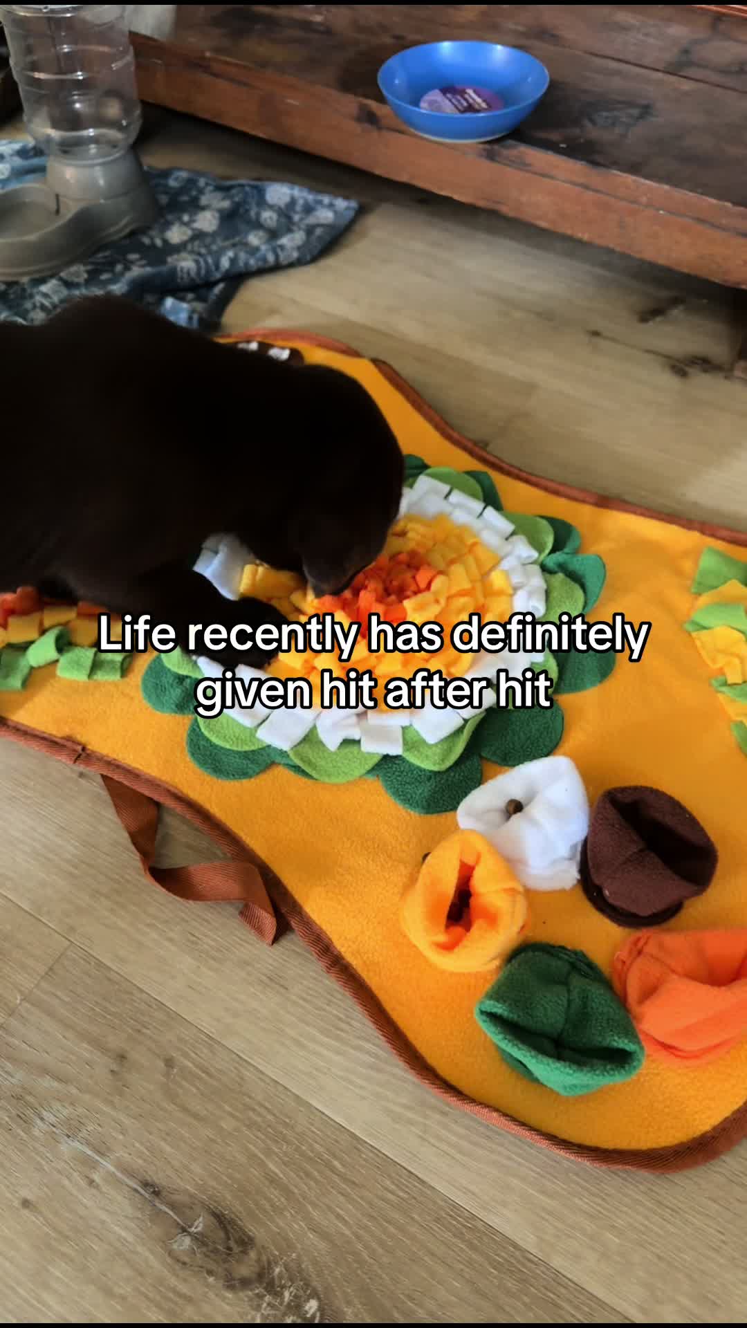 @livinfast