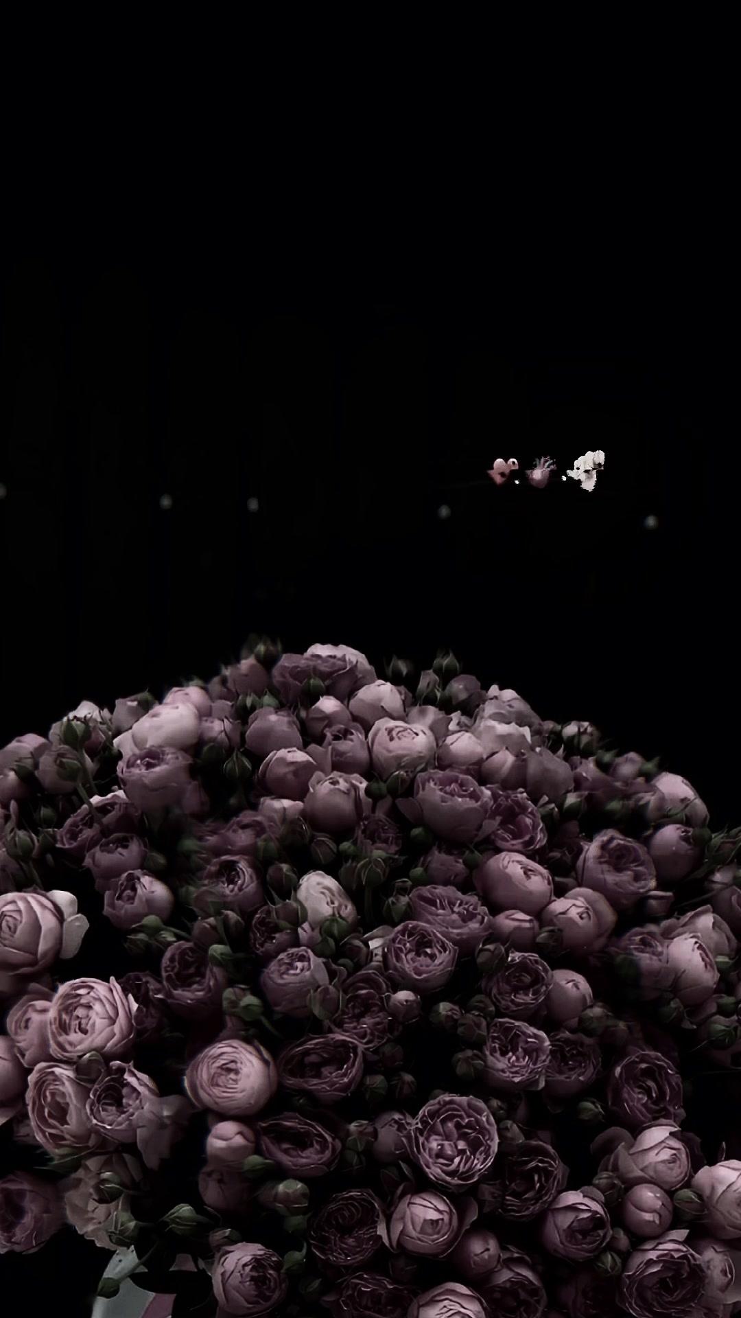 @ミ★ 𝘔.𝘌𝘥𝘪𝘵 ★彡