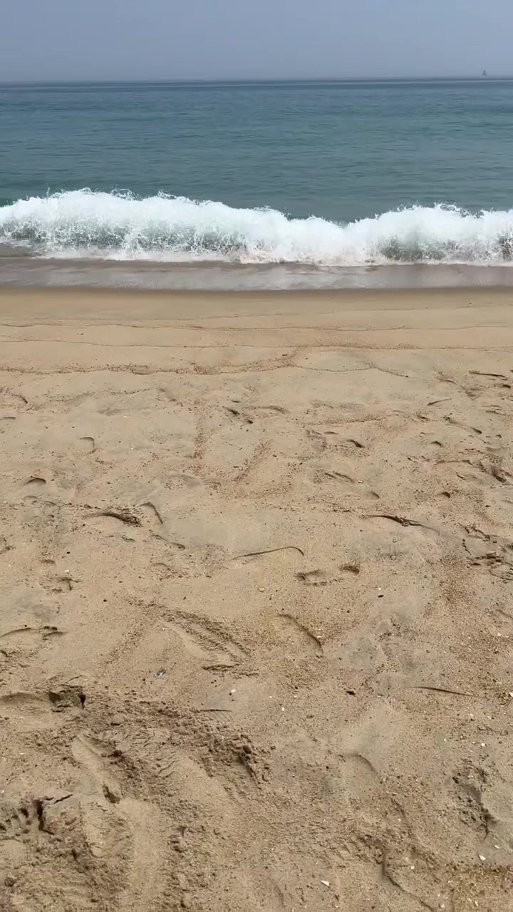 @thequinnyandkayshow