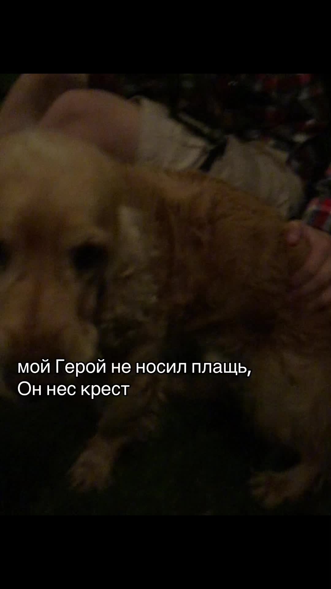 @тгк: serafim6s