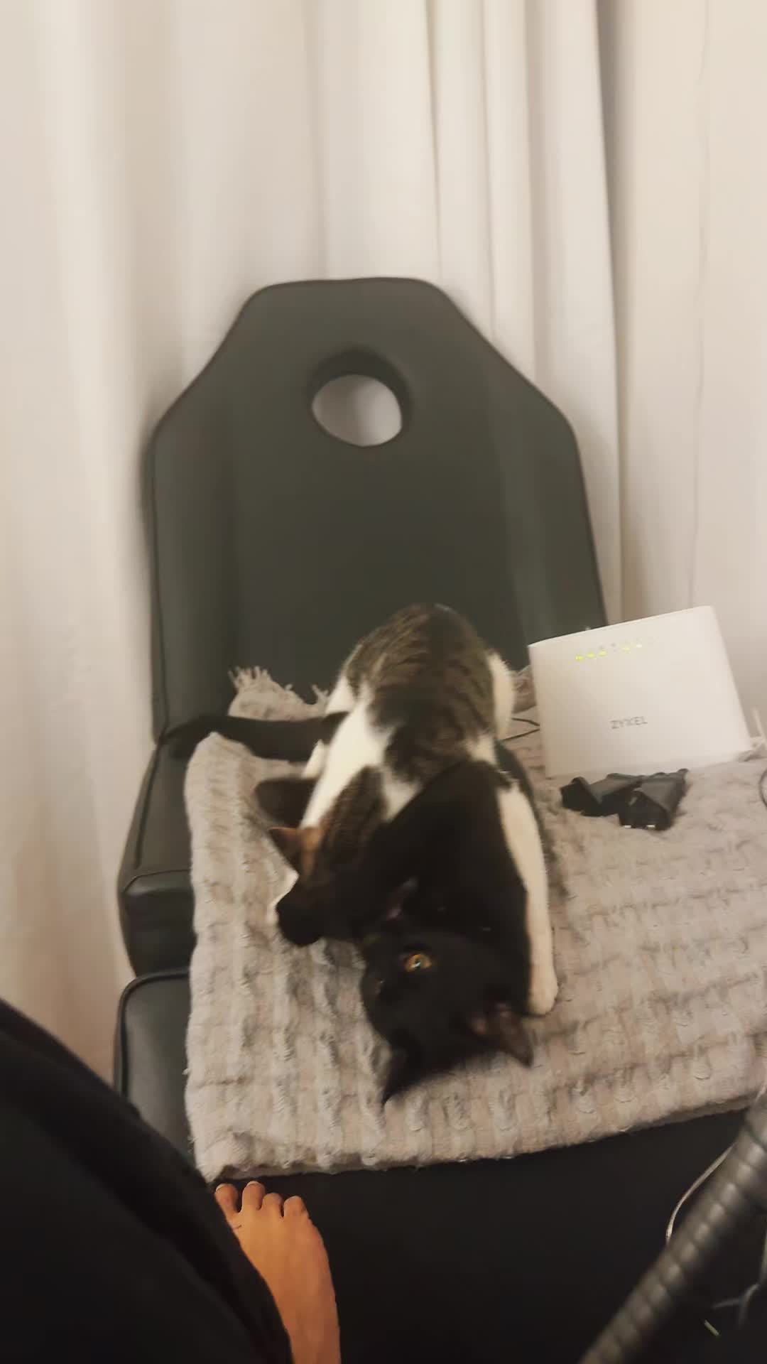 @🤫