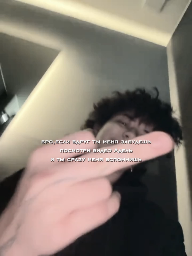 @lana & dari 🕸️