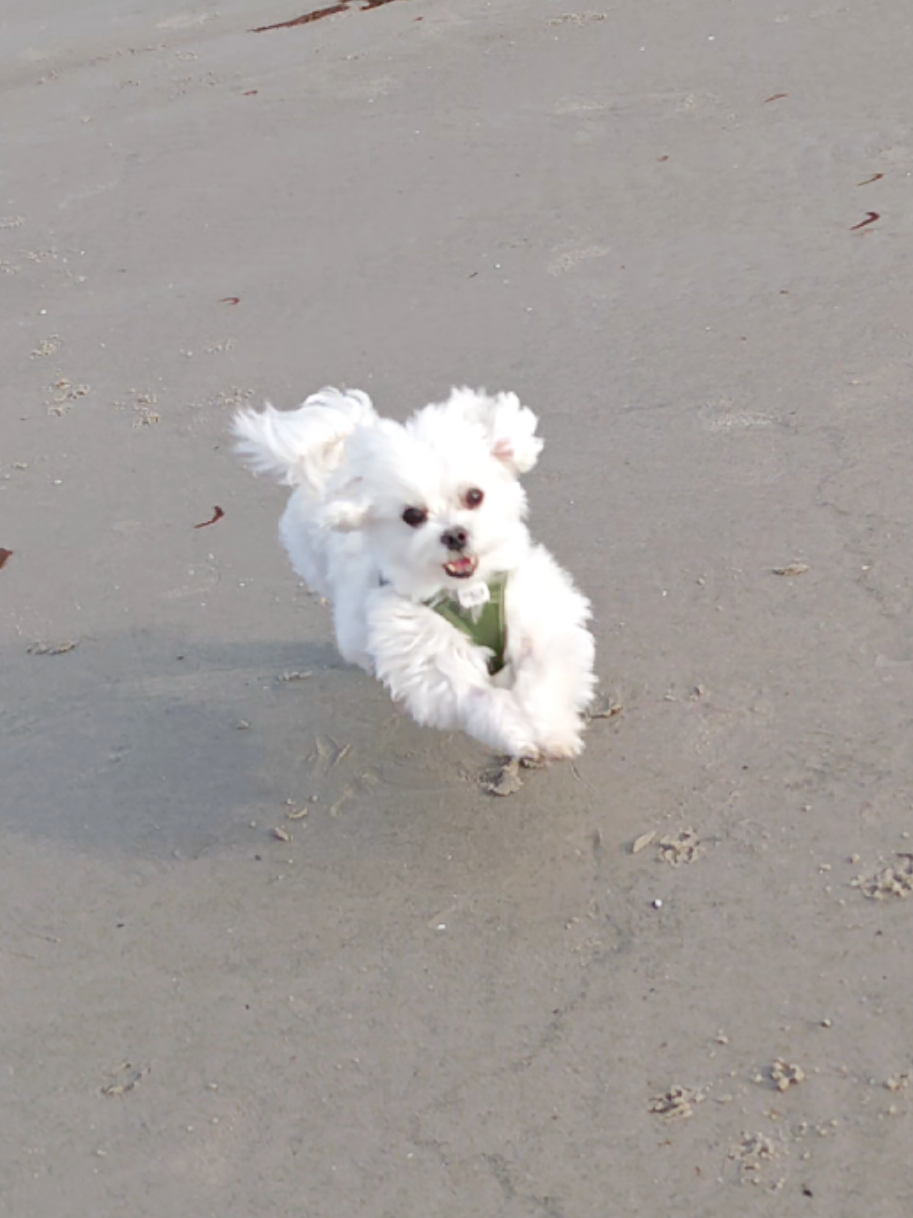 @Malteser Prinz Jerry