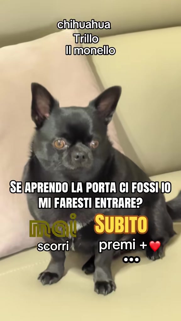 @annacuorvo877