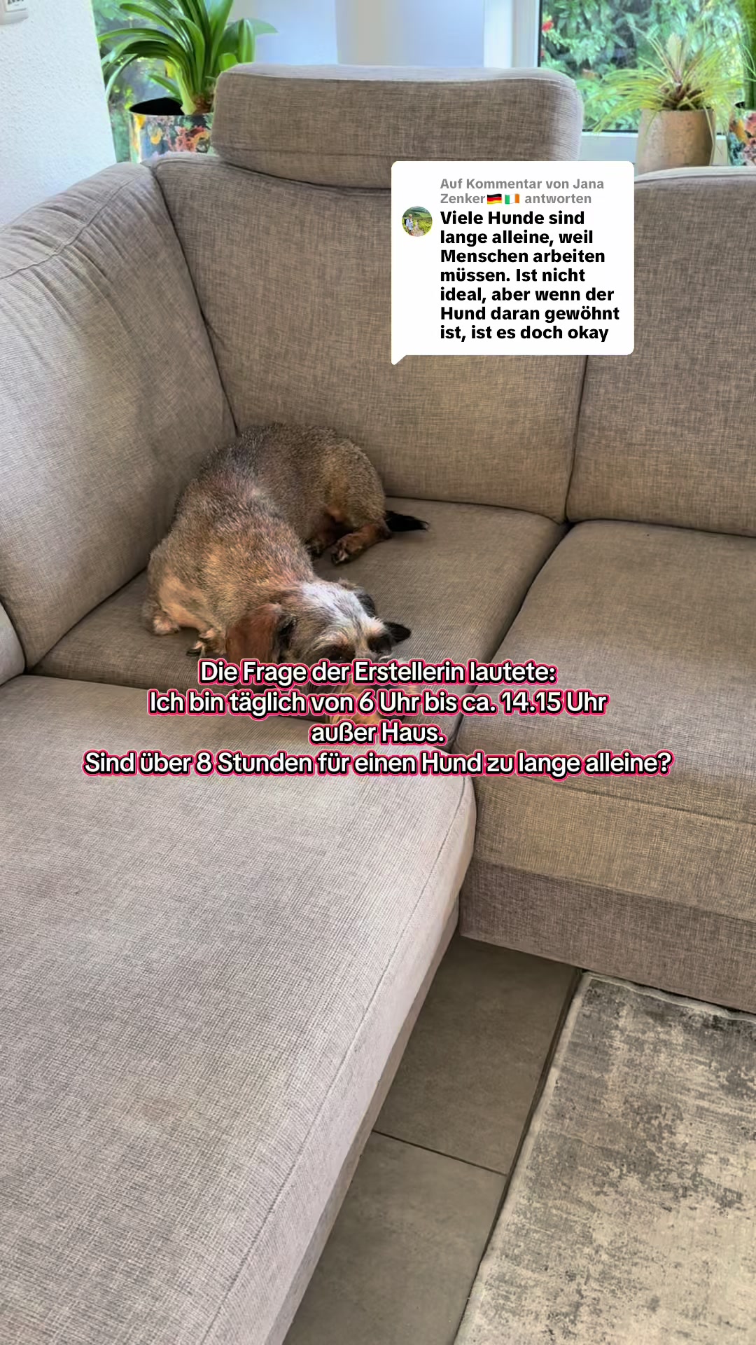 @Ichschützekinderundtiere