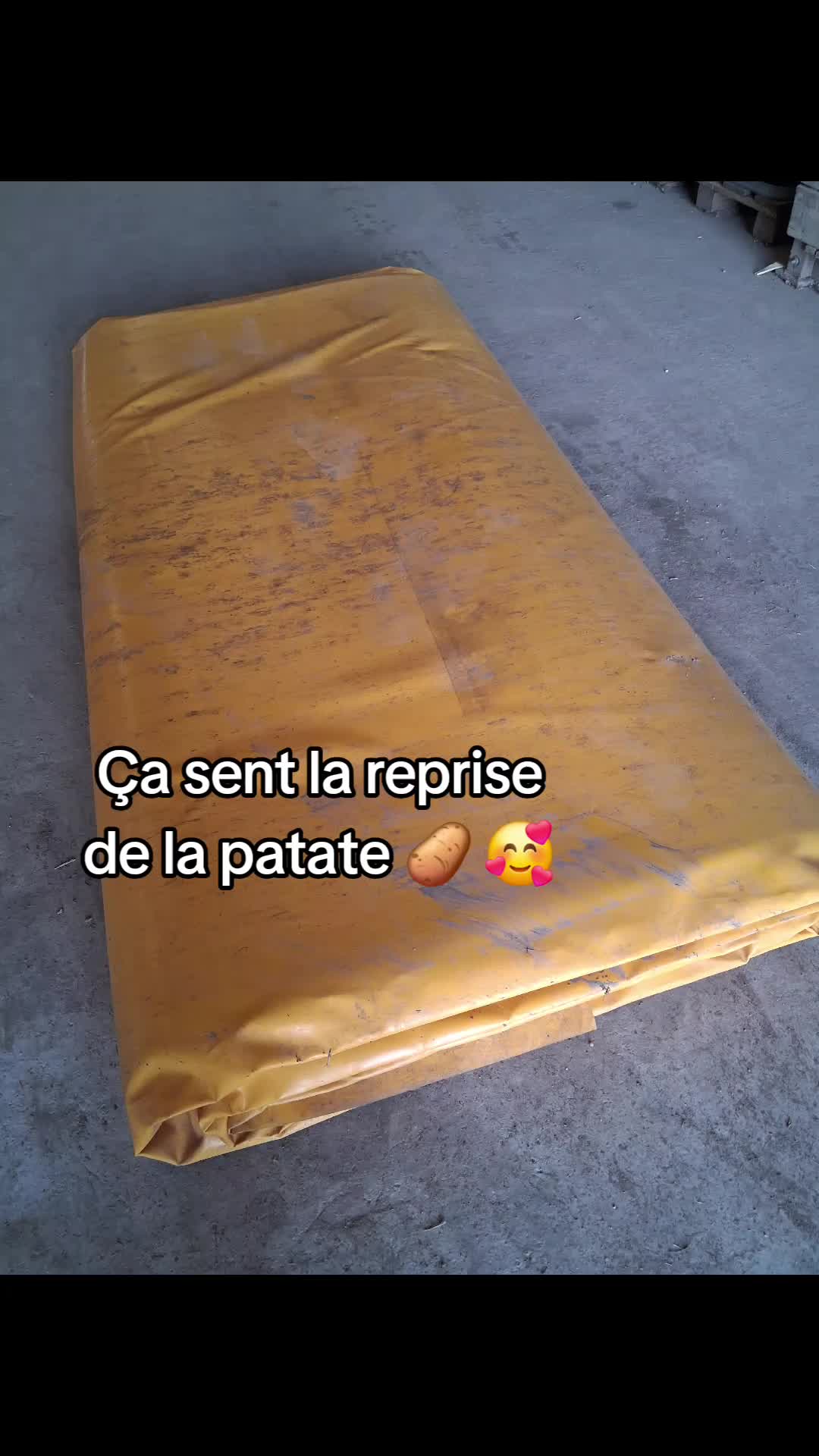 @Marina Caillault