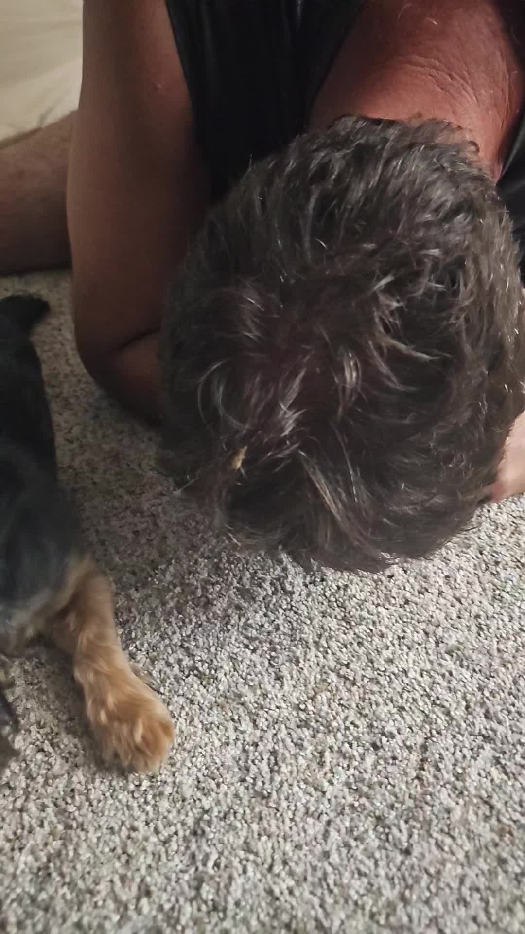 @TheShenaniganSpecialist