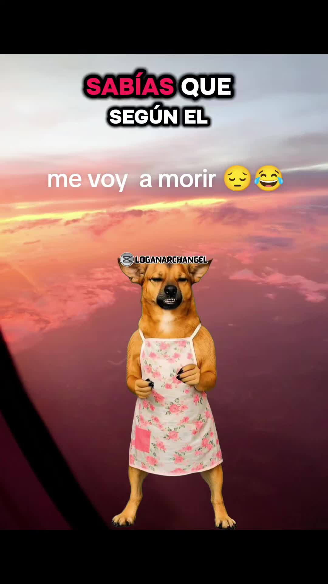 @Pincheloca🤗