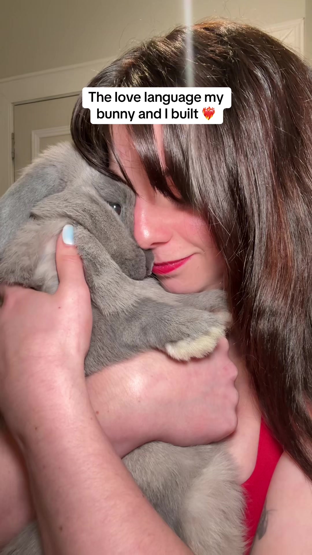 @Buzz the Bunny