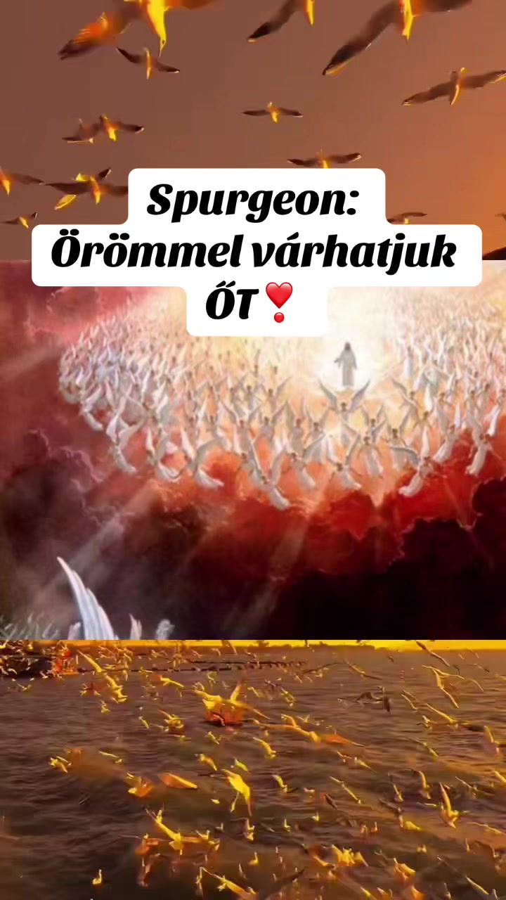 @Mónika Erős