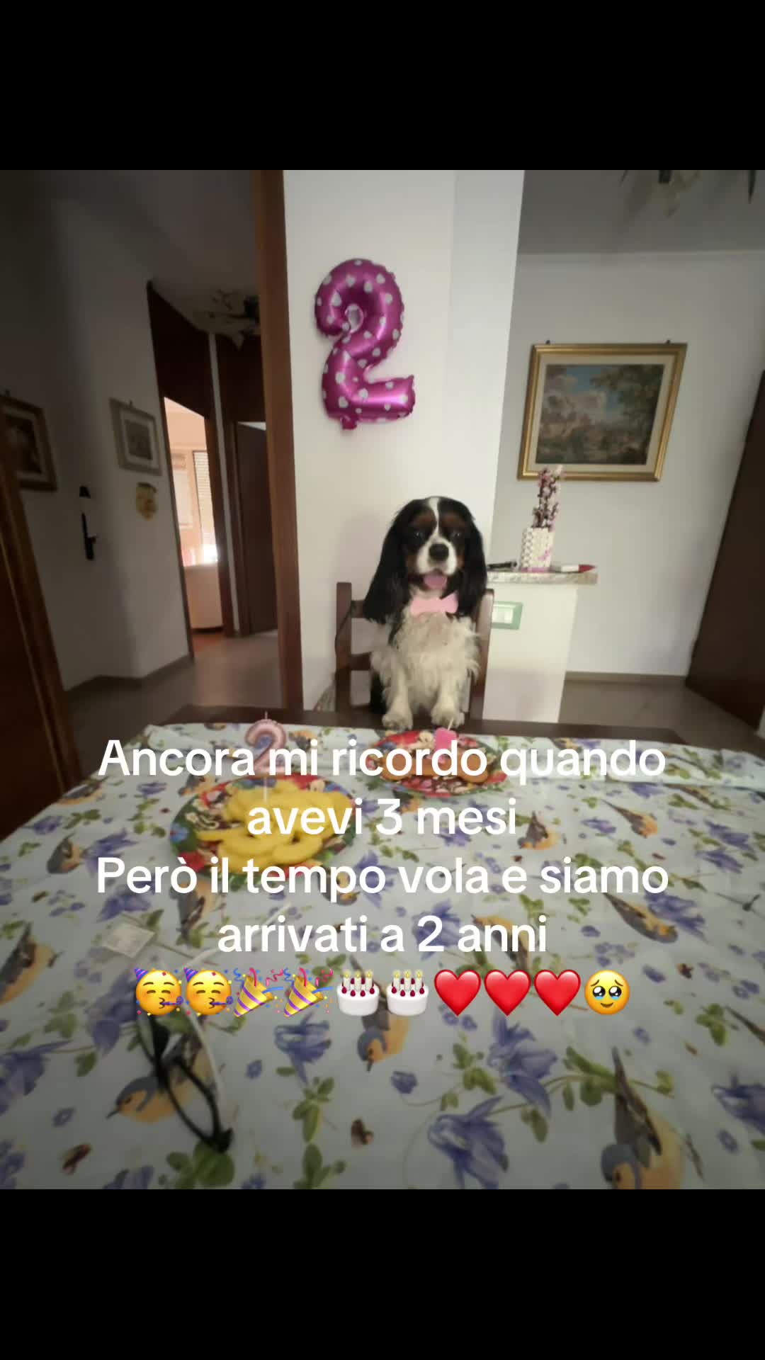 @@Fede💜🌺