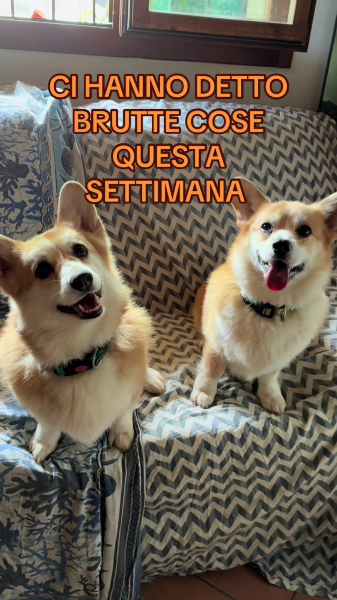 @Nadine Salomoni