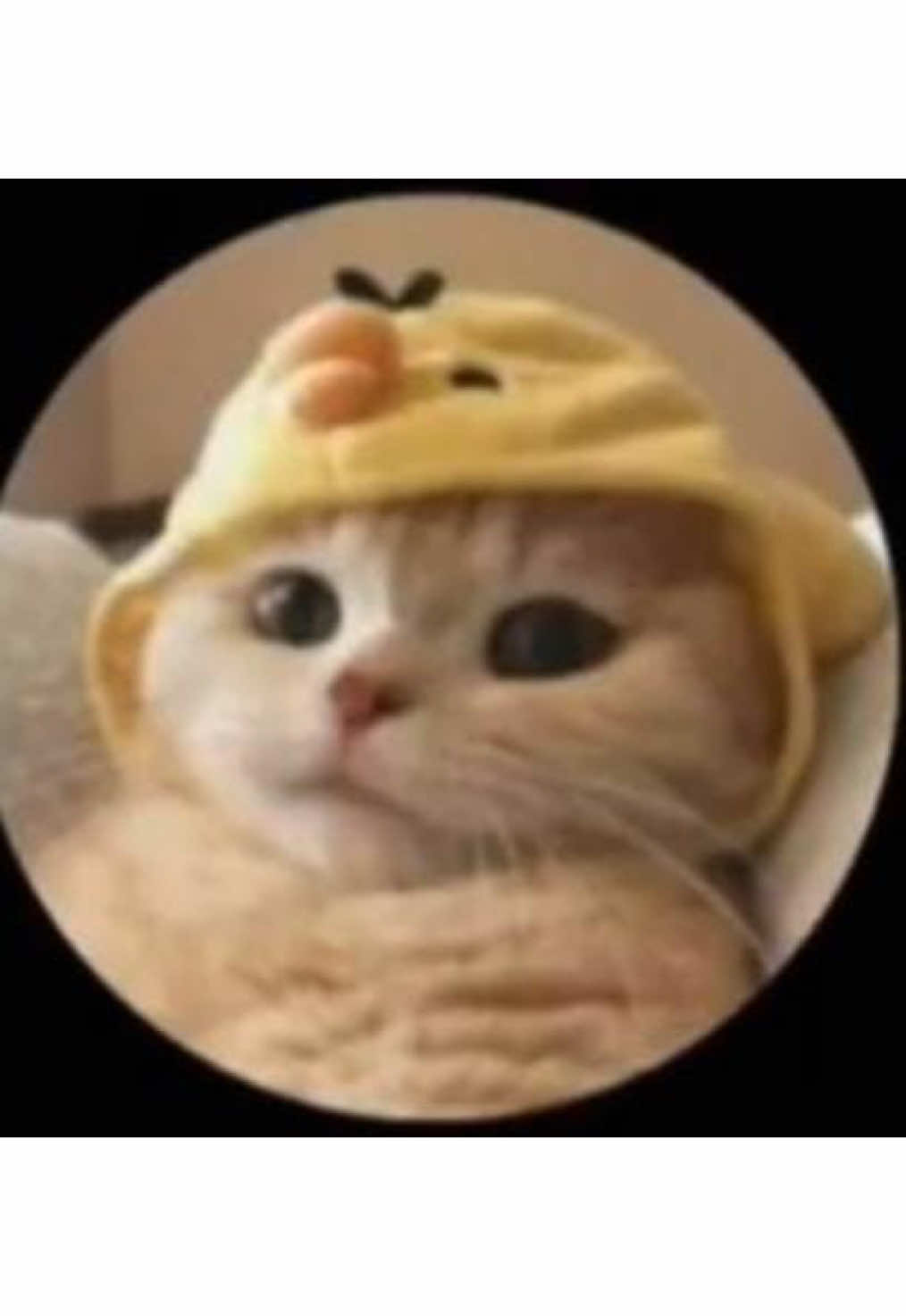 @Unknown_22