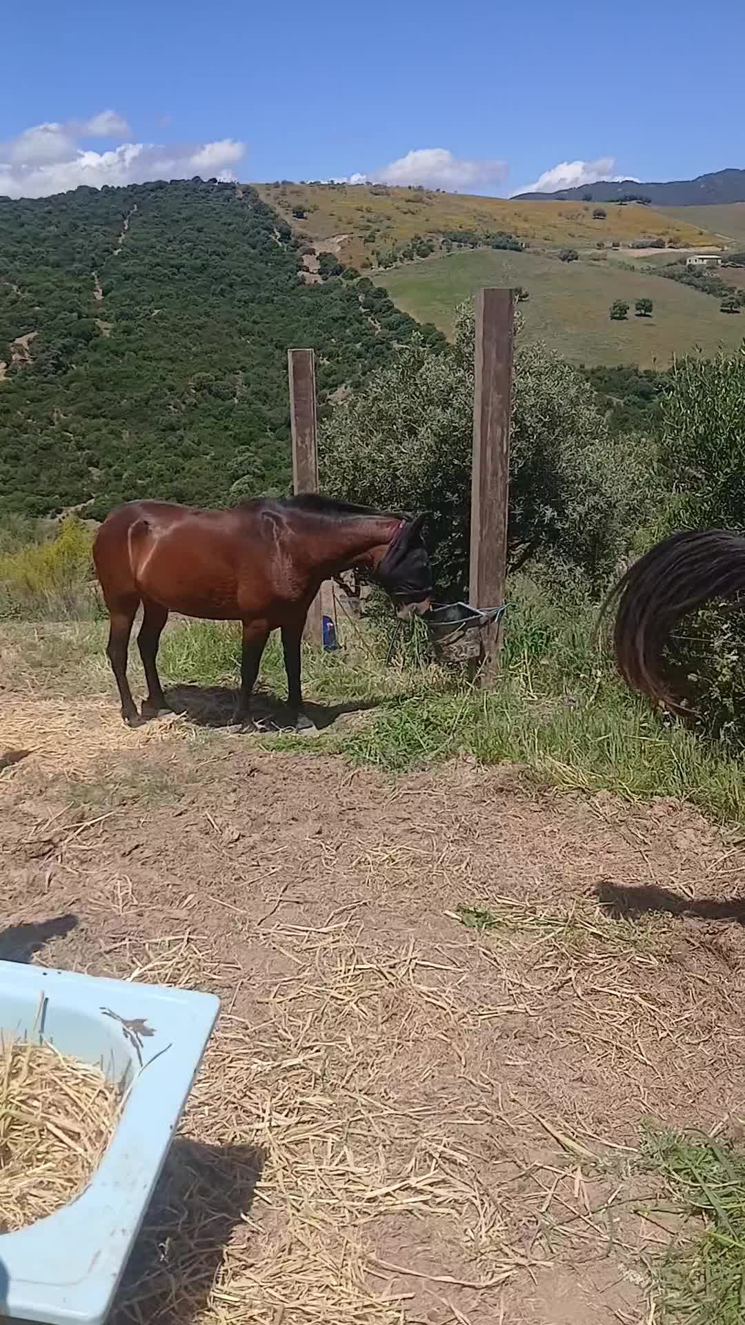 @🇪🇸Tequila-hottah&uuml;🇪🇺