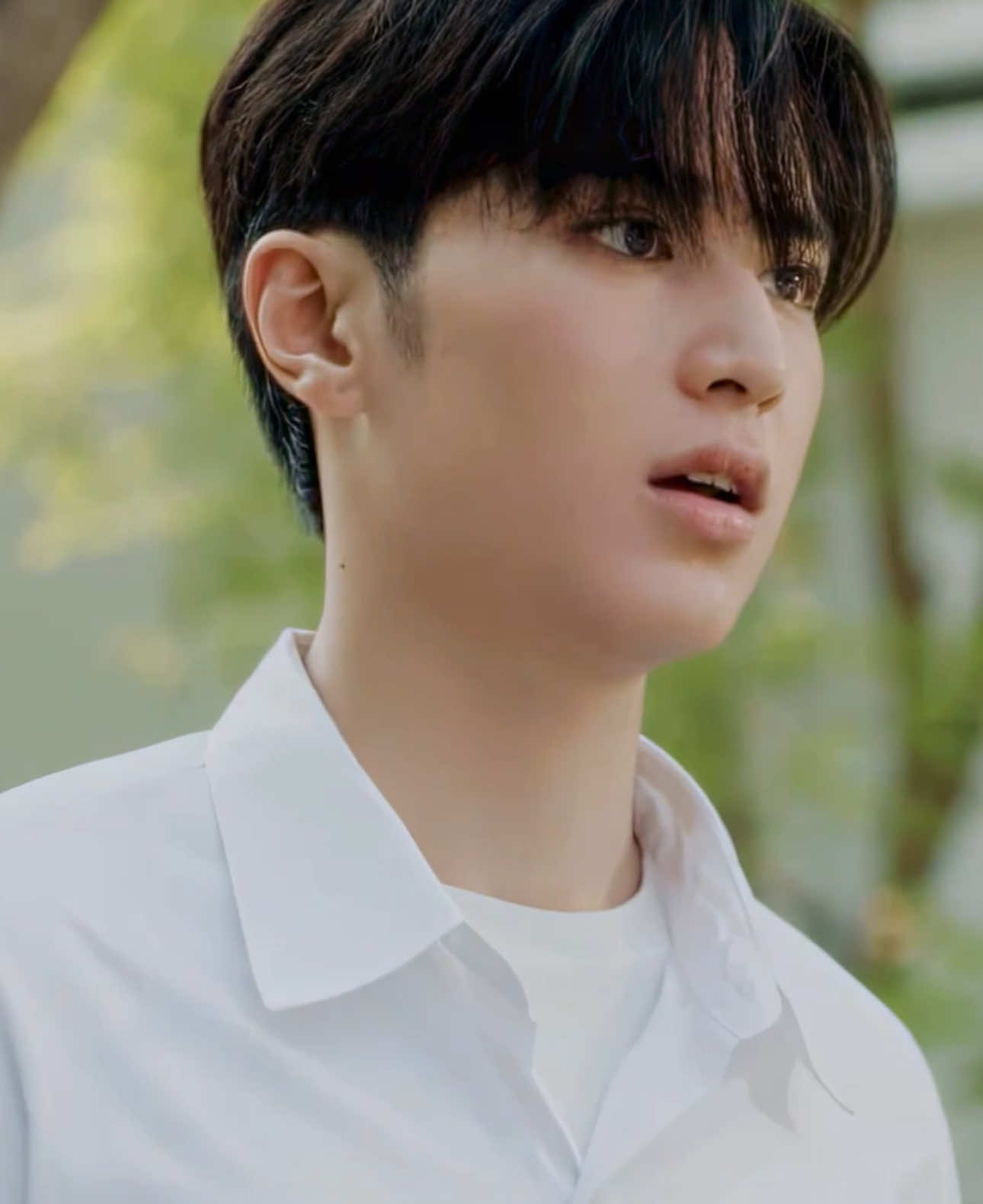 @˖ . ݁𝜗𝜚. ݁₊ siddie!!