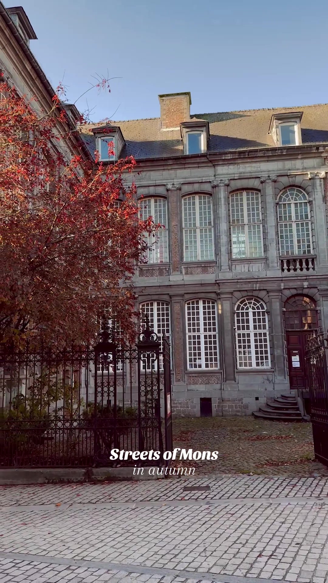 @visitMons