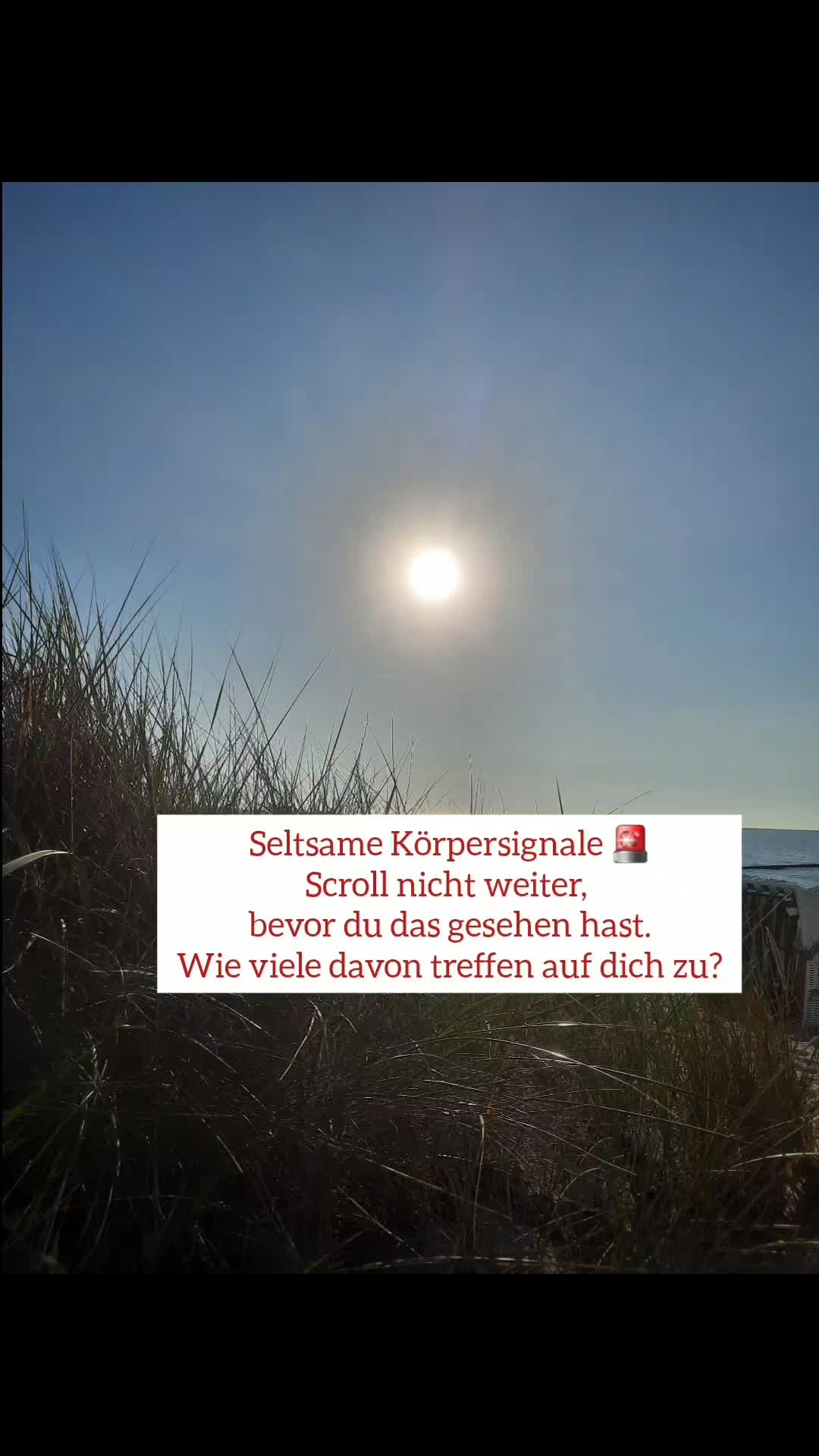 @healthylife_borjana