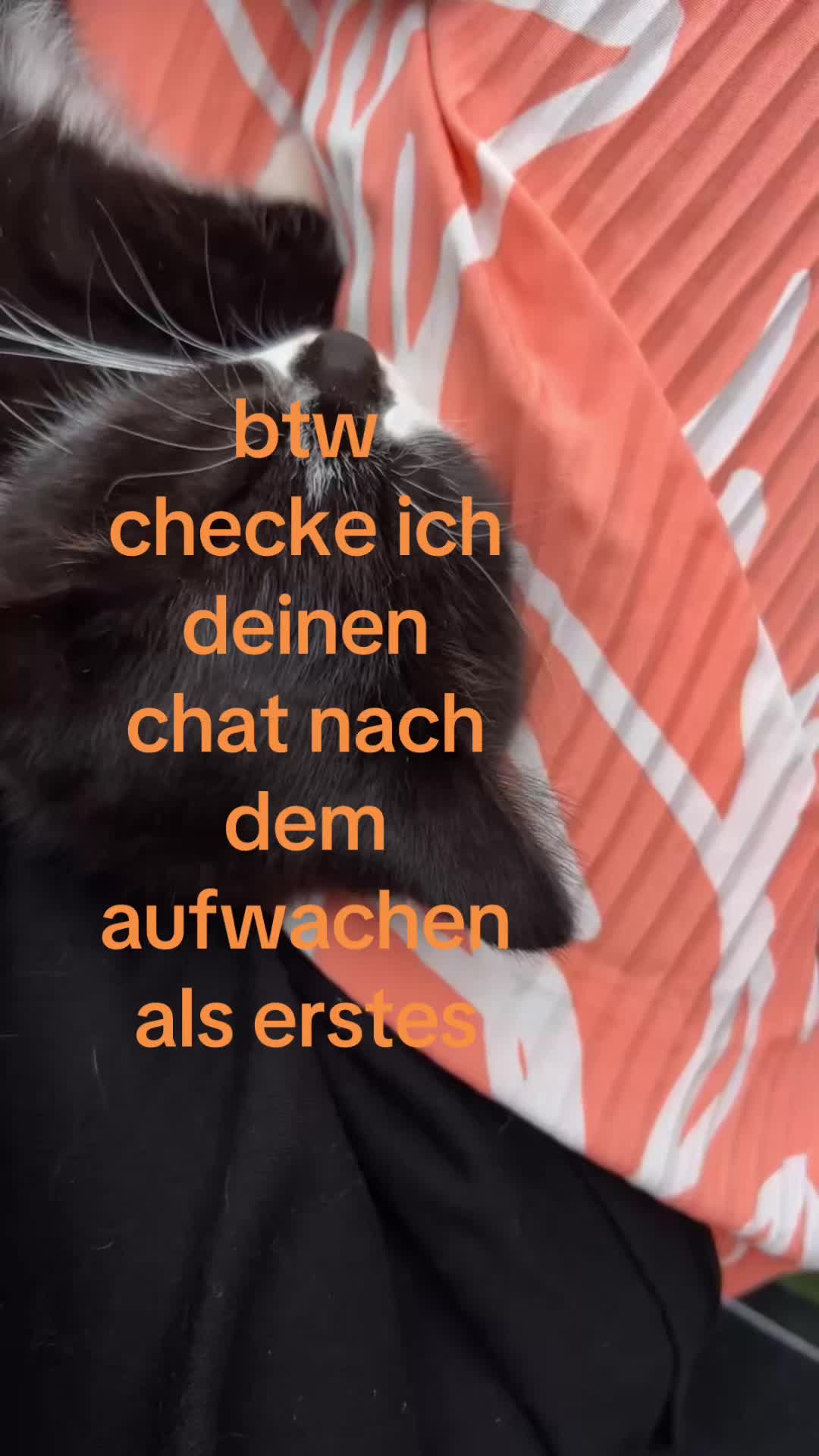 @ᴀʀɪ