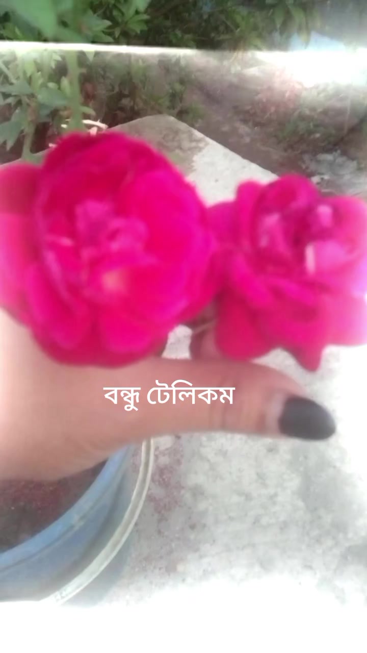 @Nurul amin