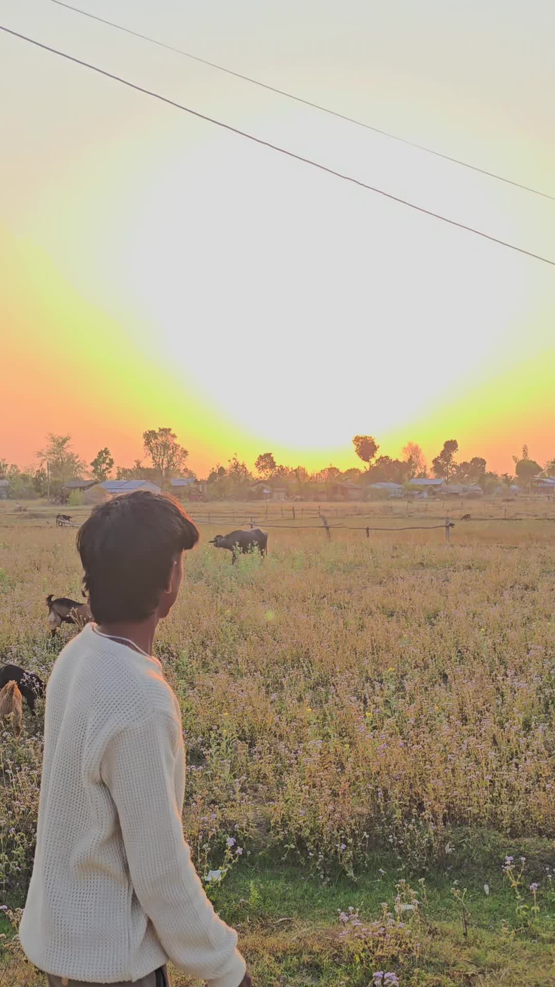 @aayuu🧿