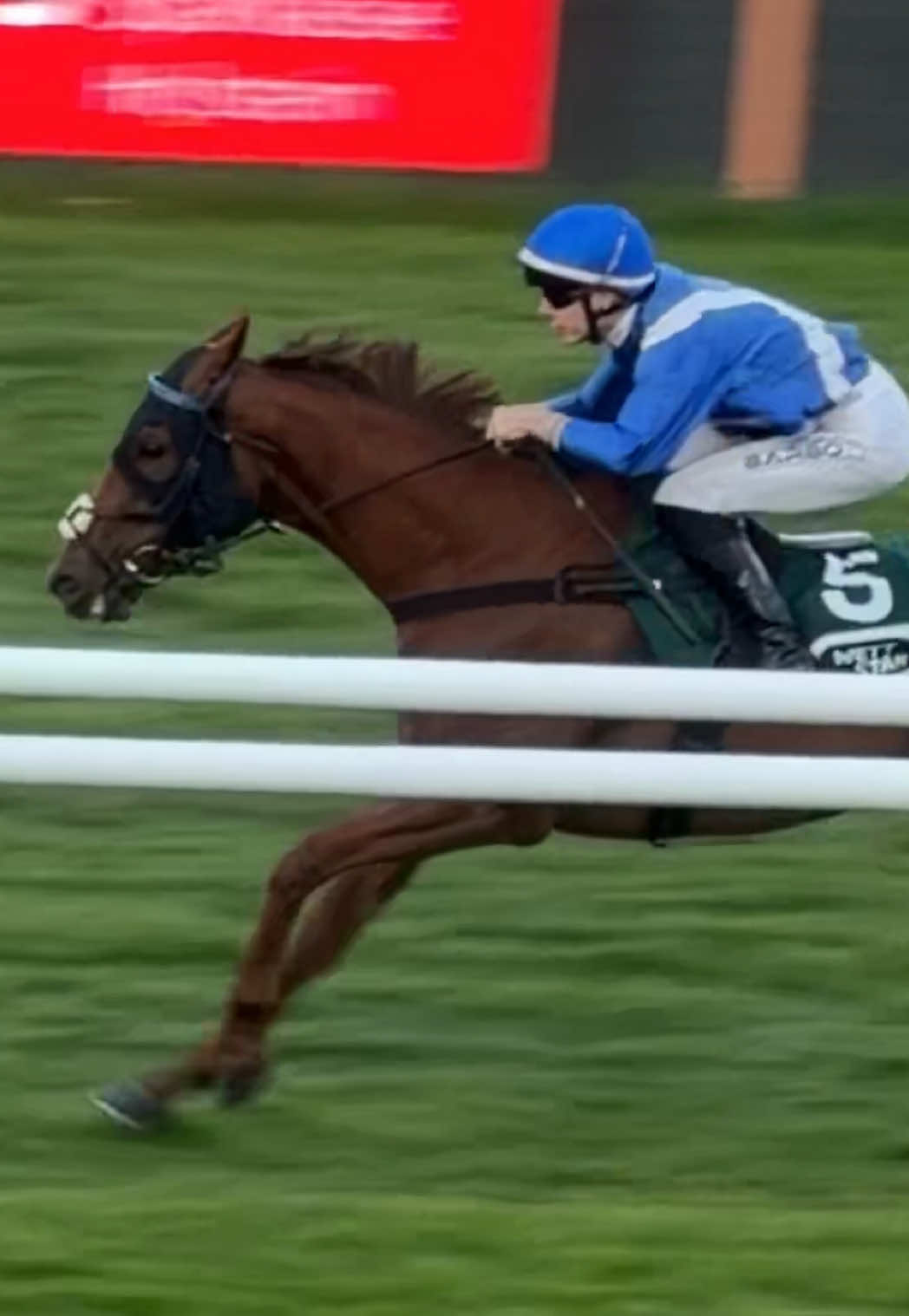 @Laura | German Horseracing