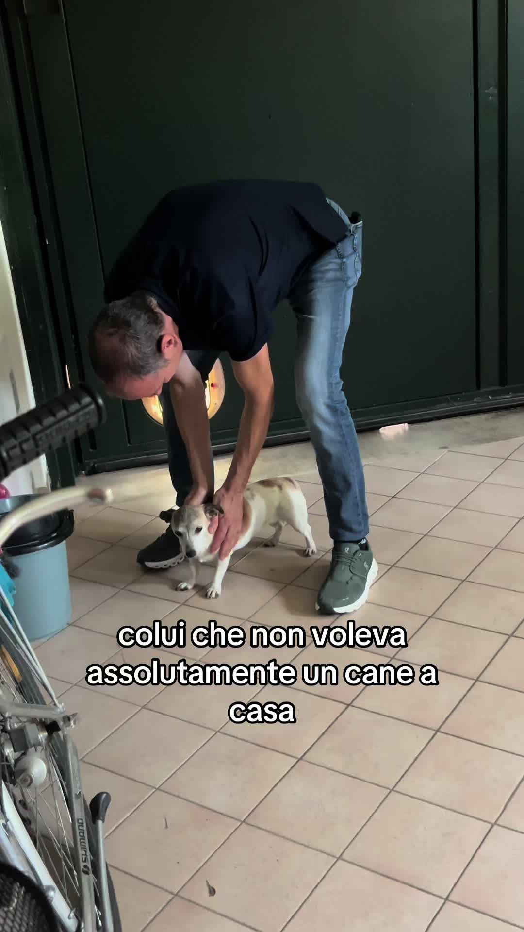 @giorgia cacco