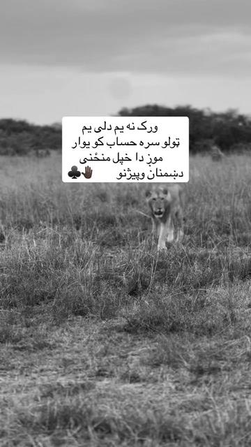@🥷🏿کــــپــــچــــه🥷🏿