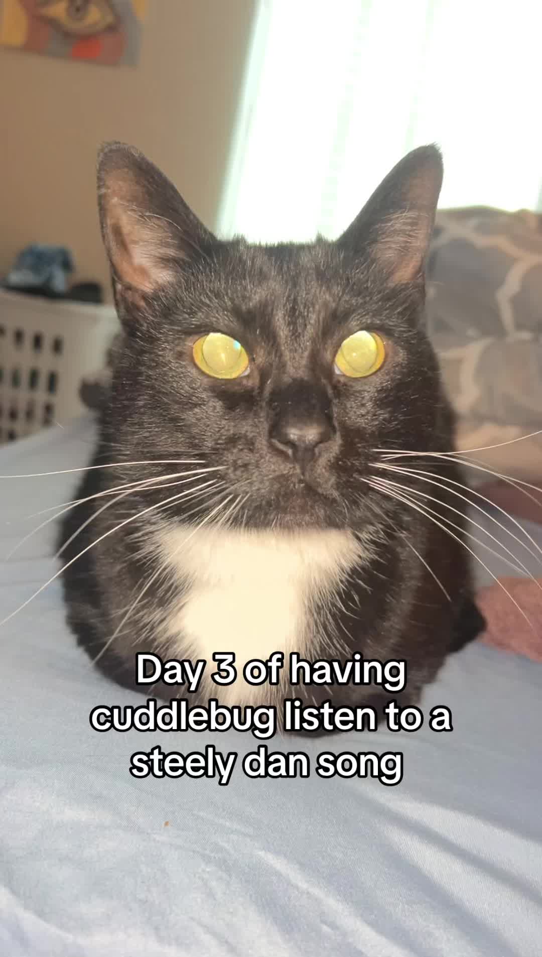 @CuddleBug