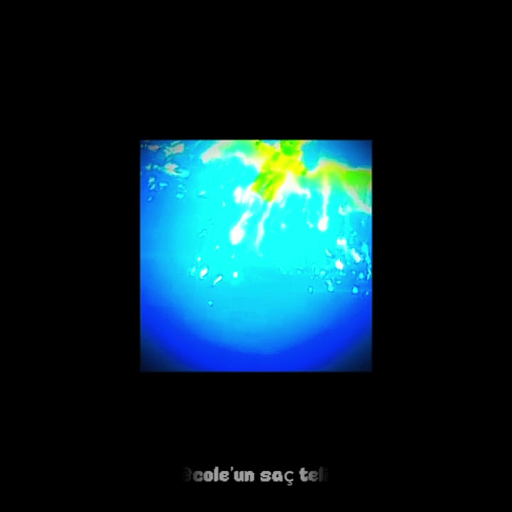 @cole'un sa&ccedil; teli